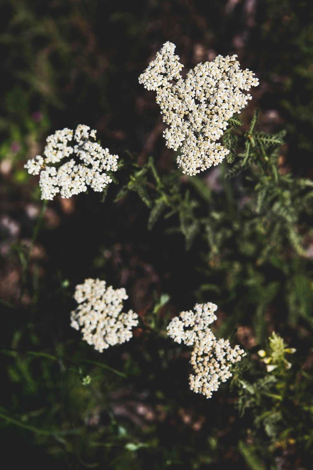 Φωτογραφία Unsplash