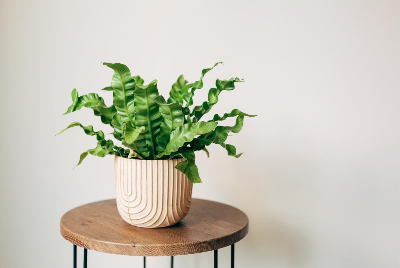 Φωτογραφία: Shutterstock