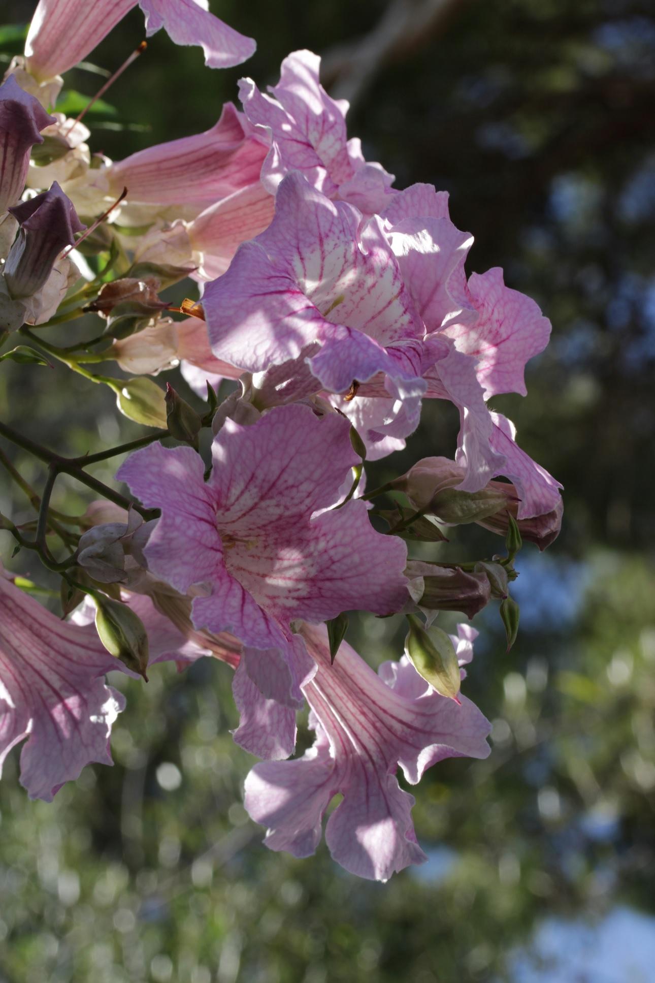 Φωτογραφία Unsplash 