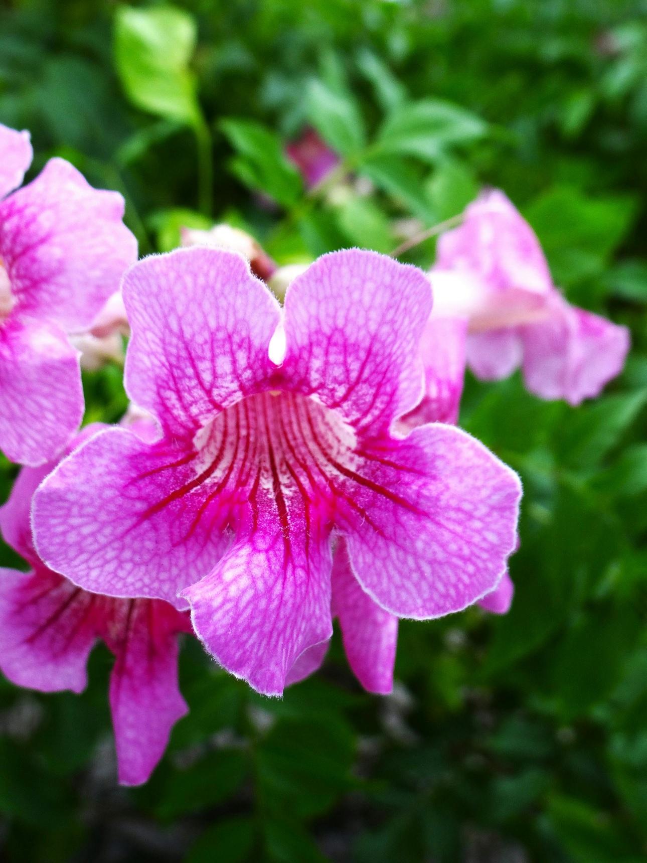 Φωτογραφία Pexels 