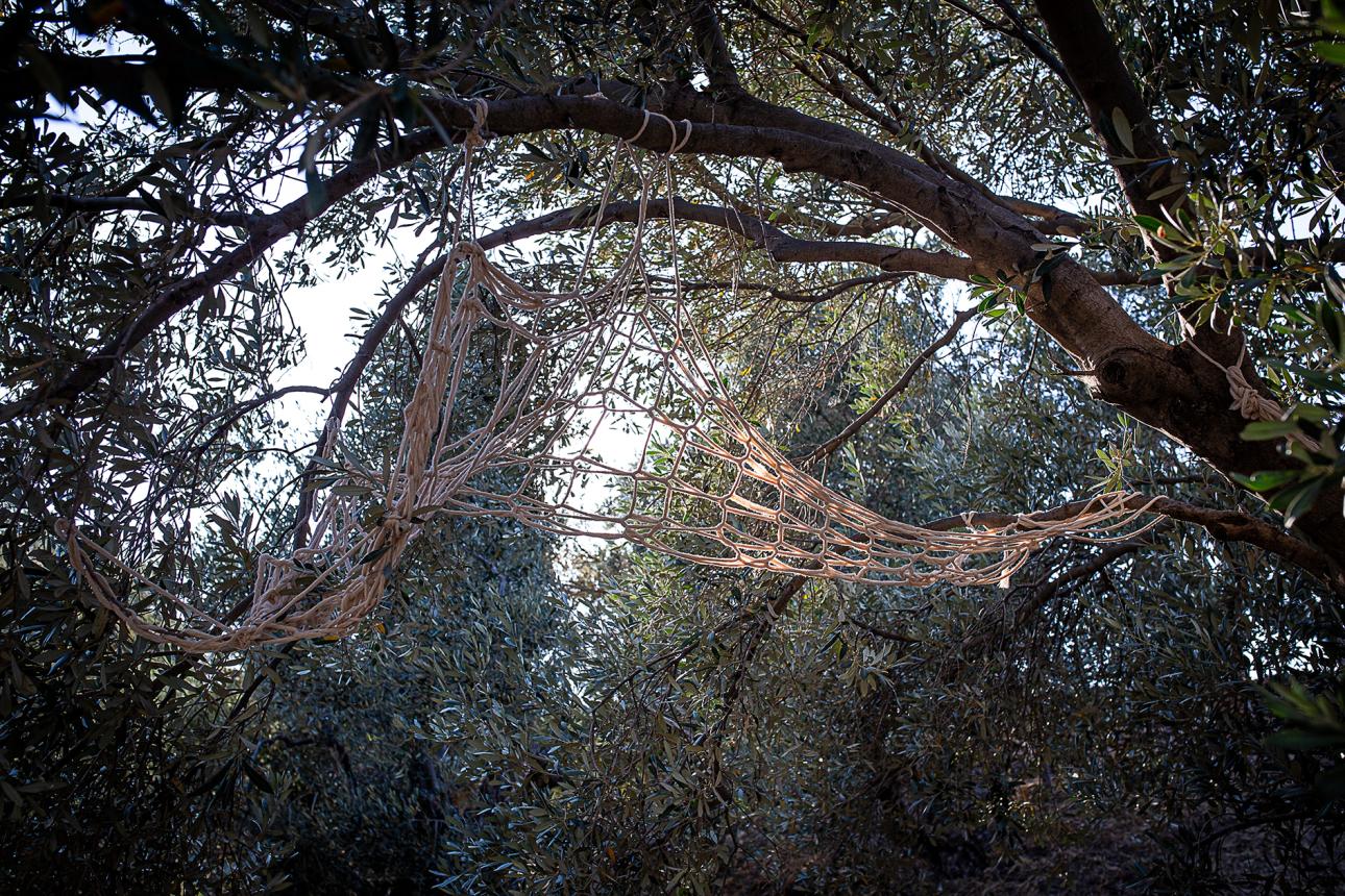   Λεπτομέρεια από το έργο της Μαριάντρη, «To nurture is to set free, 2026» 