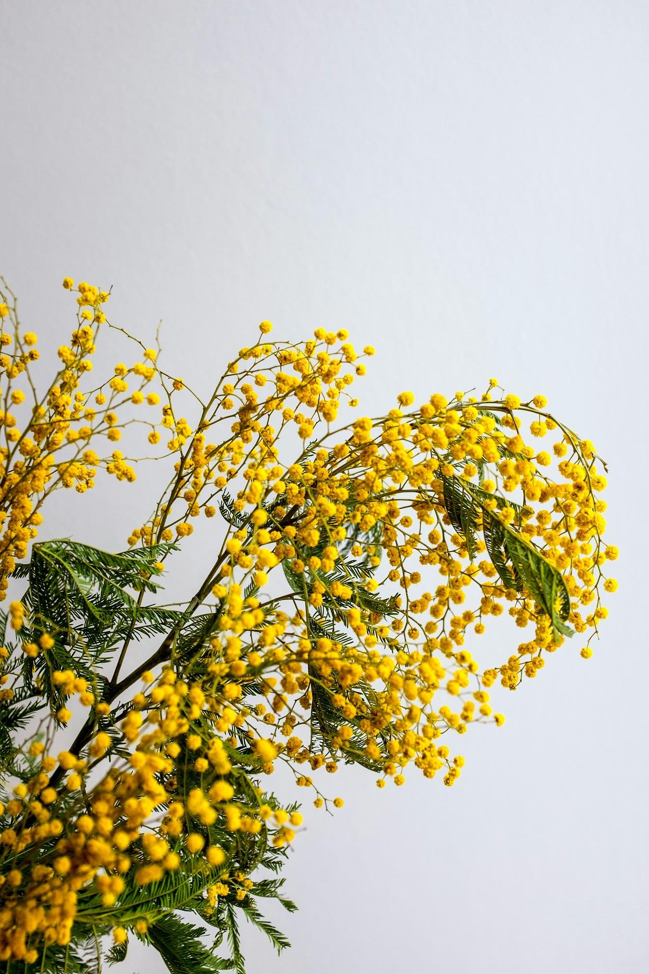 Φωτογραφία Unsplash