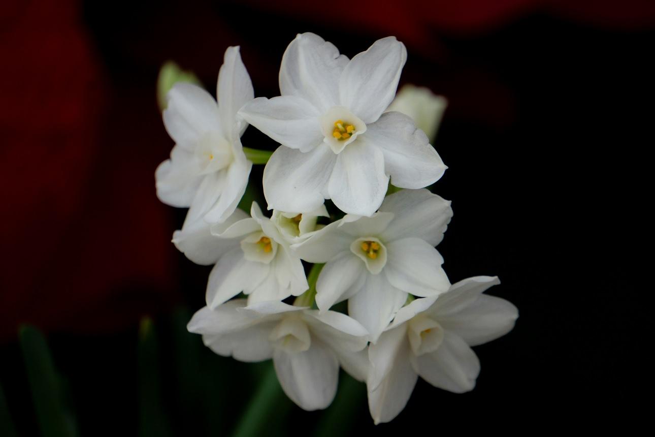 Φωτογραφία Unsplash 