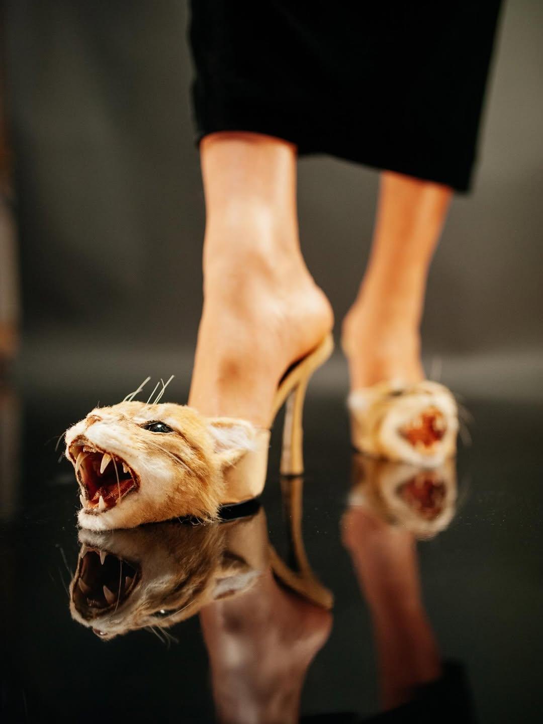 ©Schiaparelli FW '26-'27 