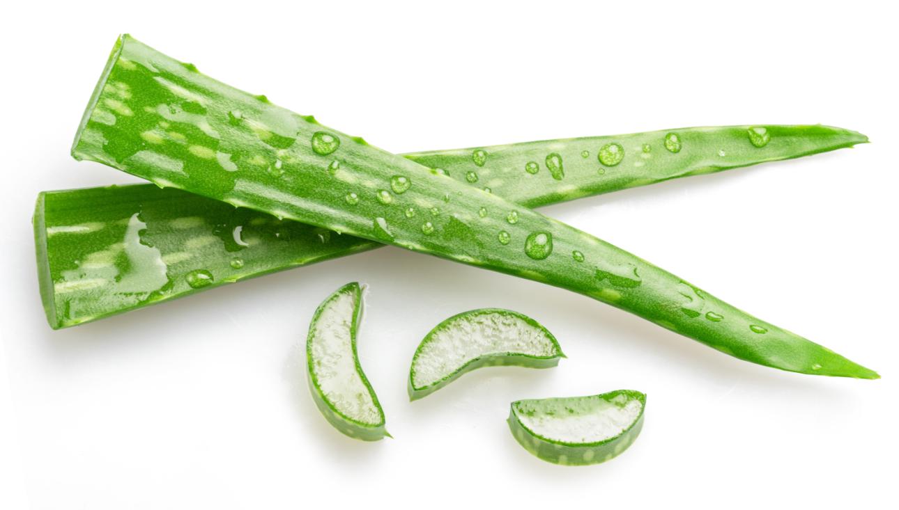 Αλόη βέρα/Φωτογραφία: Shutterstock