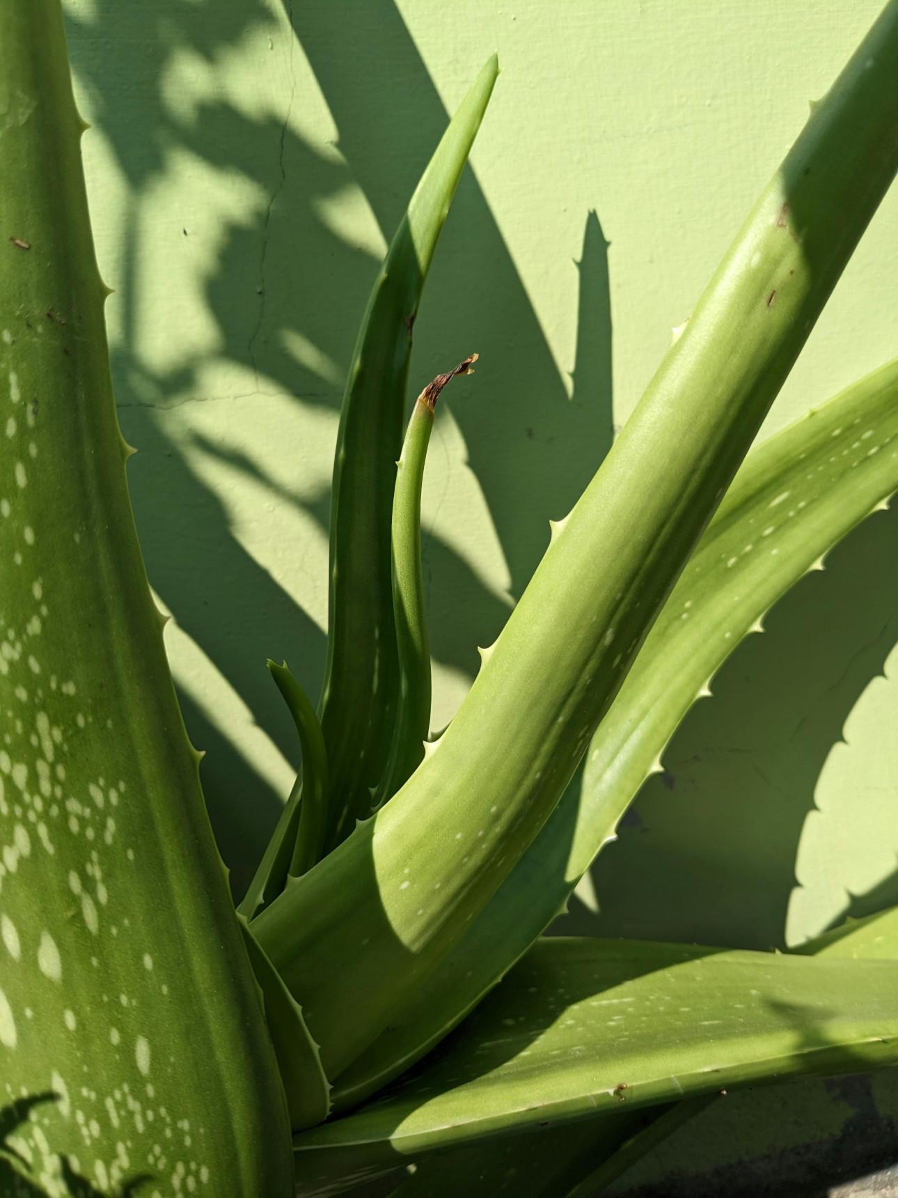 Φωτογραφία: Unsplash 