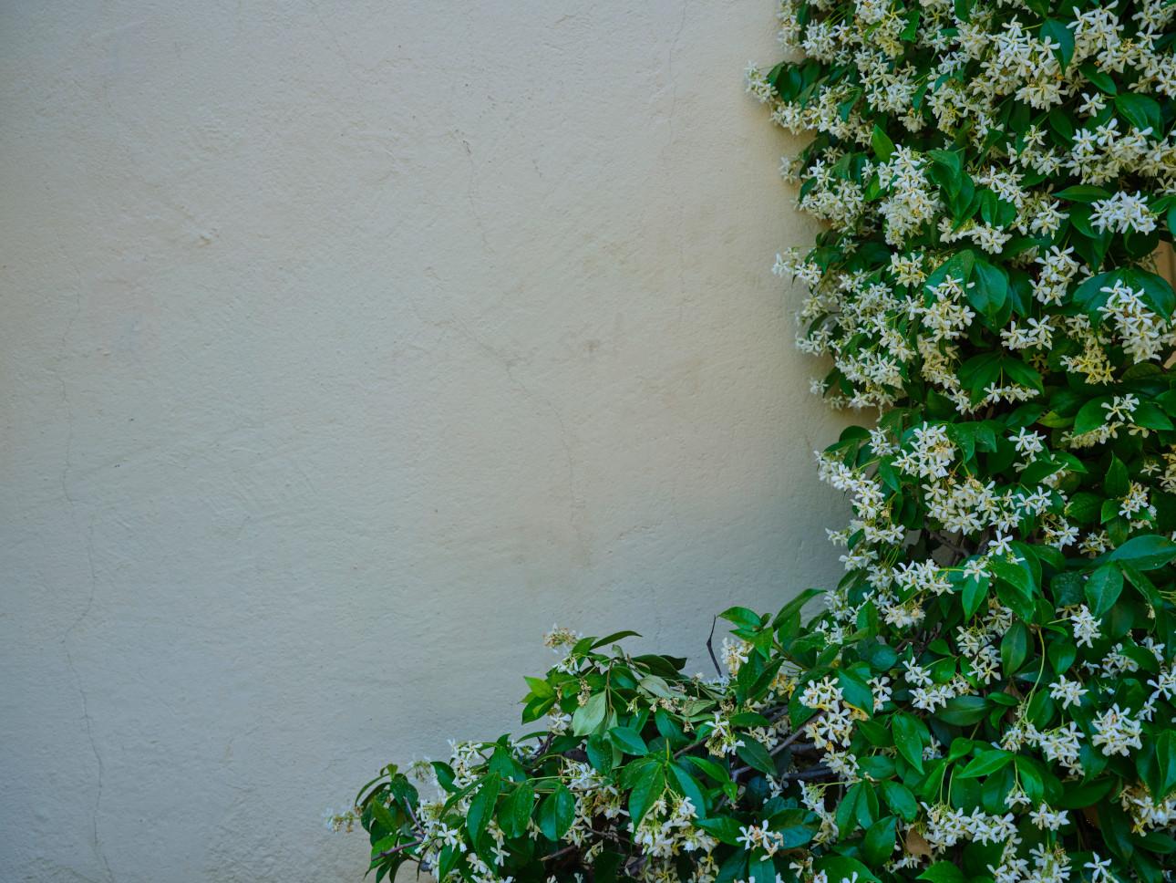 Φωτογραφία: Pexels