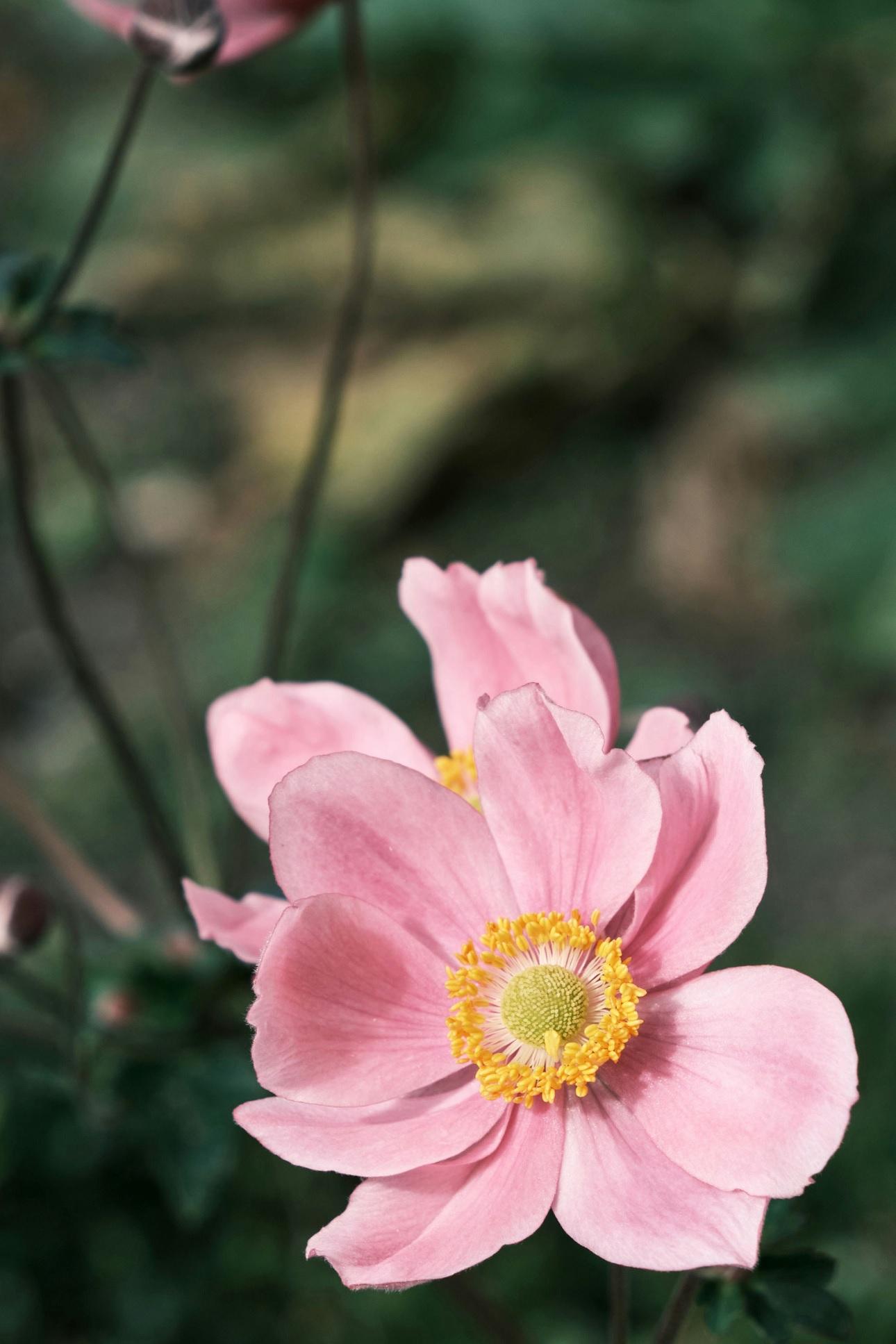 Φωτογραφία Unsplash
