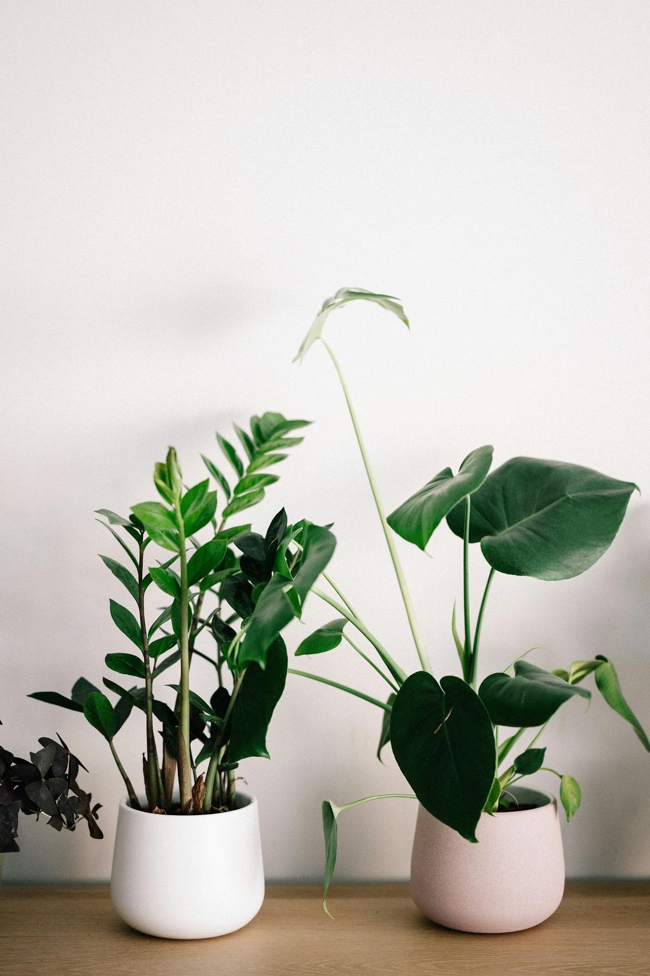 Φωτογραφία: unsplash