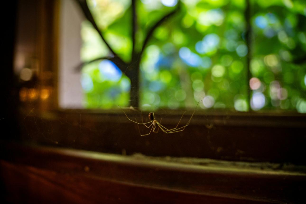 Φωτογραφία: Unsplash 