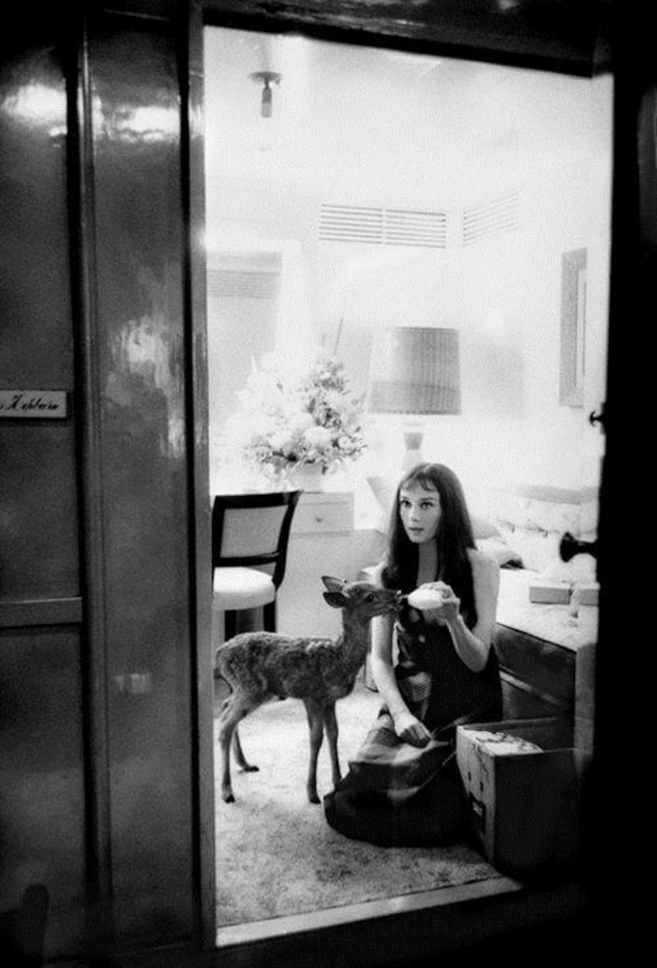  Η Audrey Hepburn ταΐζει το ελάφι της/IMDB