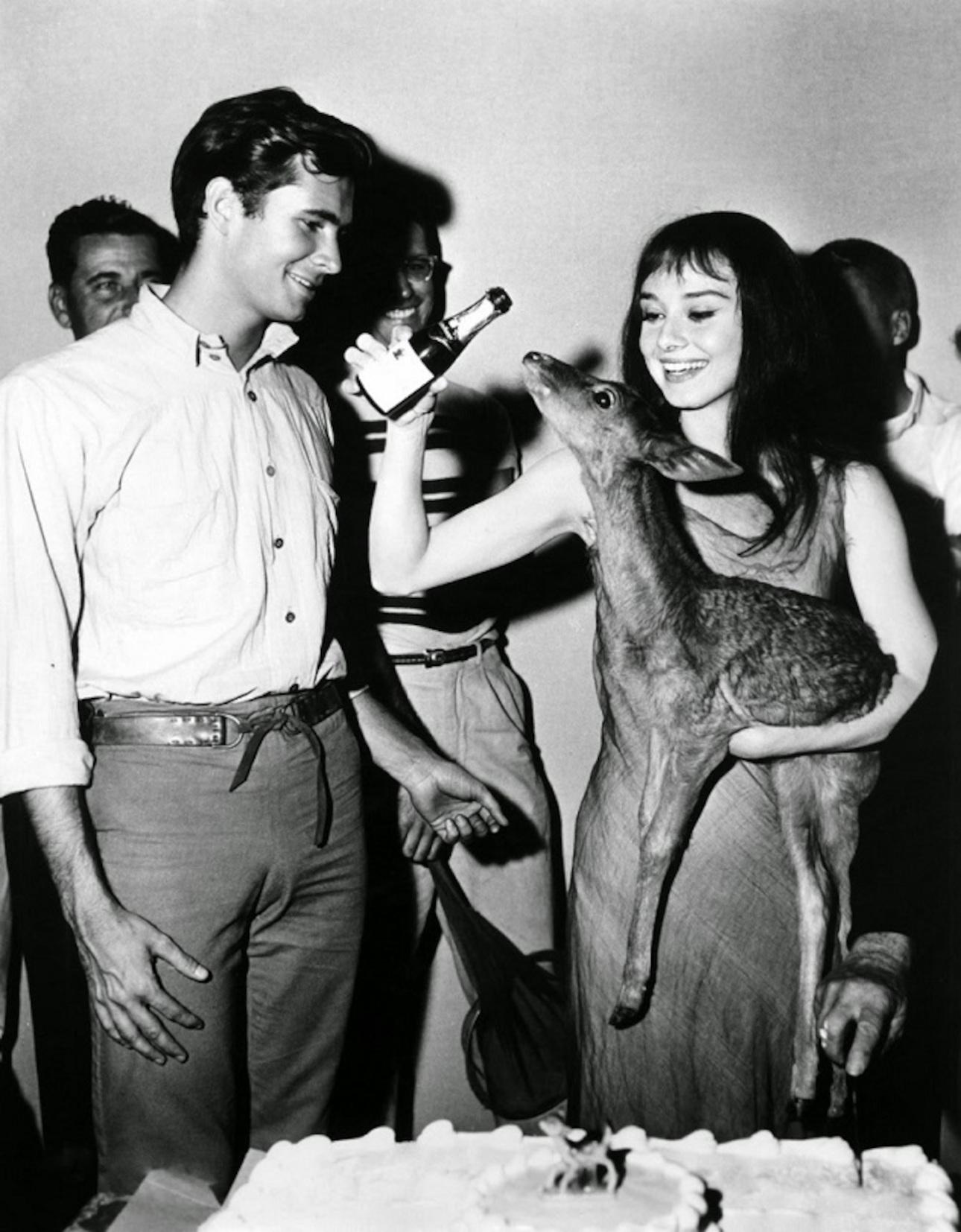  Η Audrey Hepburn σε δεξίωση μαζί με το ελάφι της/IMDB