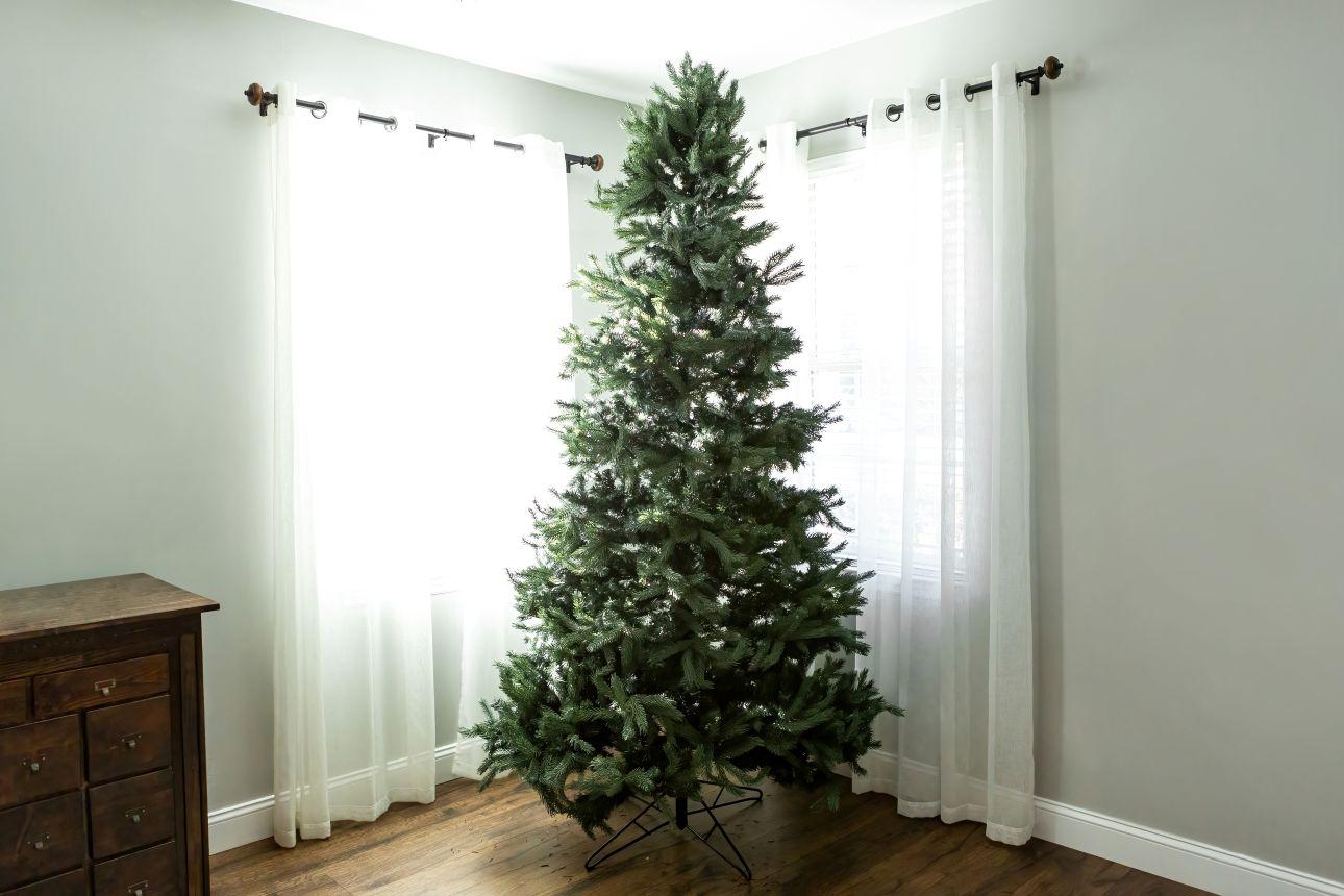 Γυμνό χριστουγεννιάτικο δέντρο/ Φωτογραφία: Shutterstock
