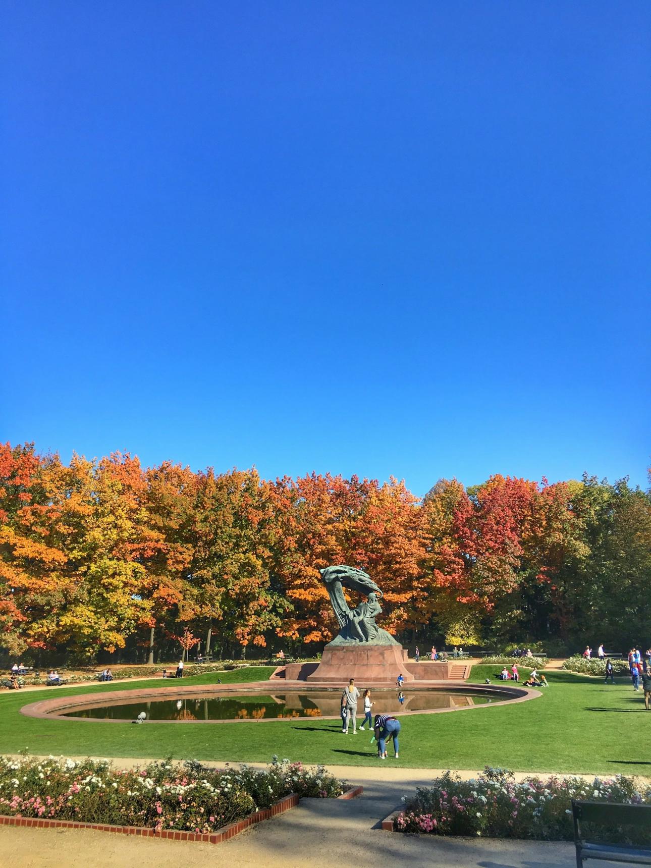  Photo by Charles Assunção on Unsplash        