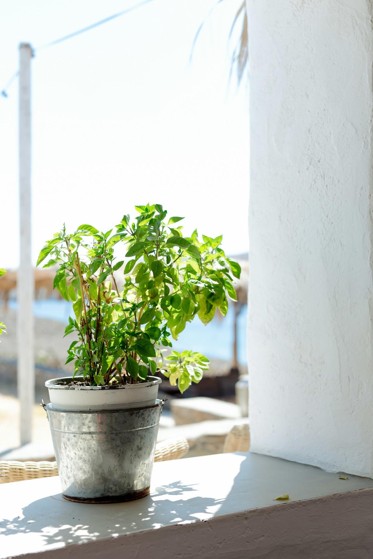 Φωτογραφία: Unsplash