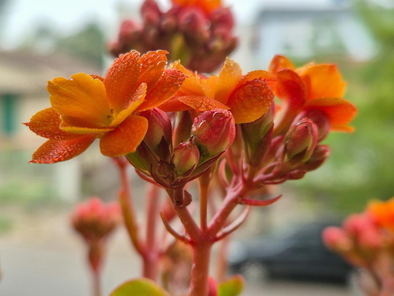 Φωτογραφία: Unsplash 