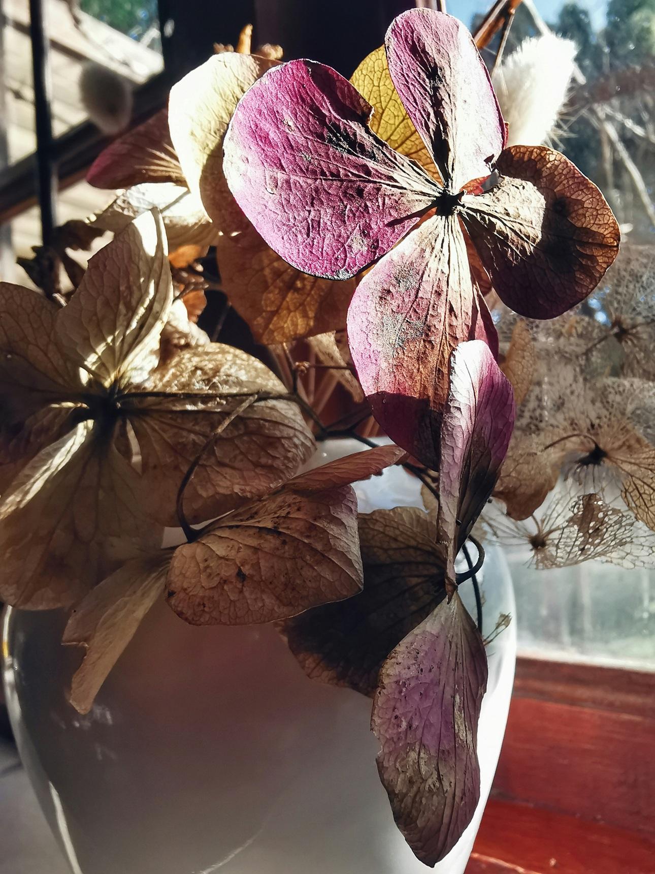 Φωτογραφία: Pexels