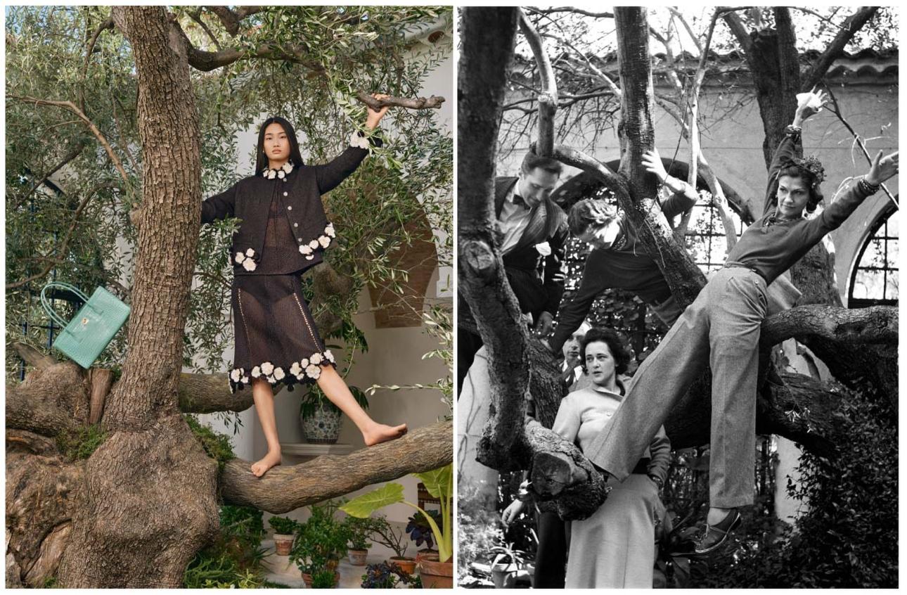 Δεξιά, η Coco Chanel ανεβαίνει στα δέντρα με τους φίλους της/ Photo by Roger Schall @ Schall Collection