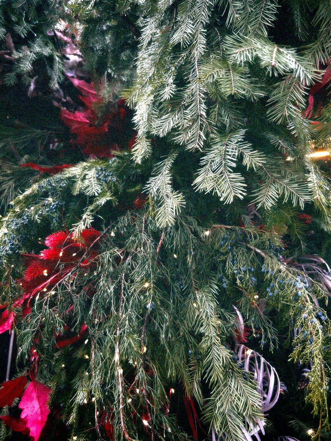 Χριστουγεννιάτικο δέντρο με φυσικά κλαδιά/ Φωτογραφία: Unsplash