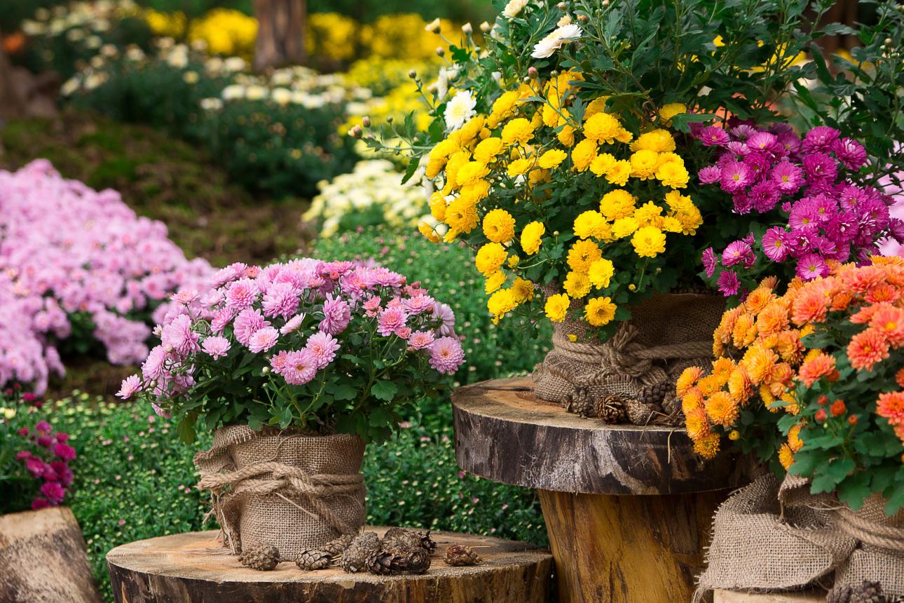 Φωτογραφία: Shutterstock