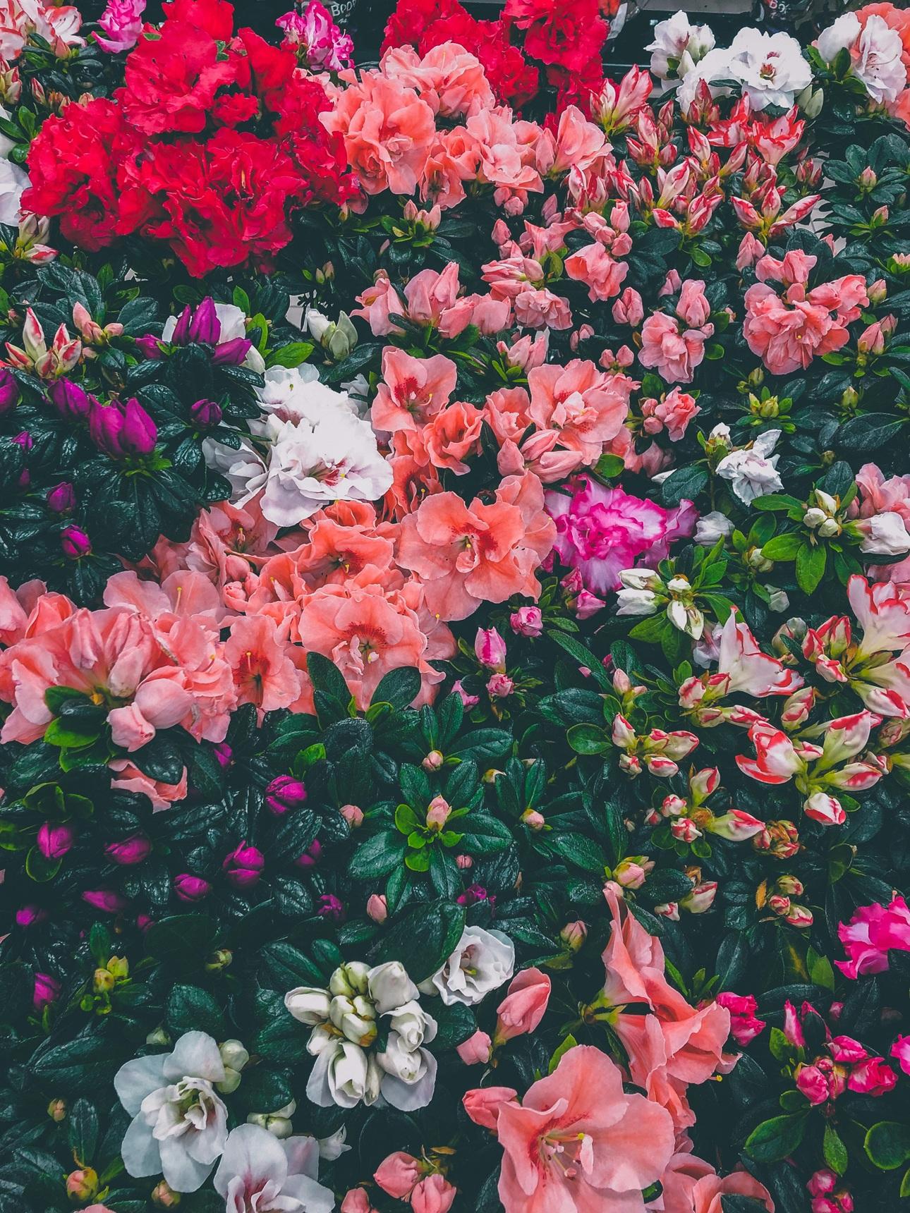   Φωτογραφία: Unsplash  