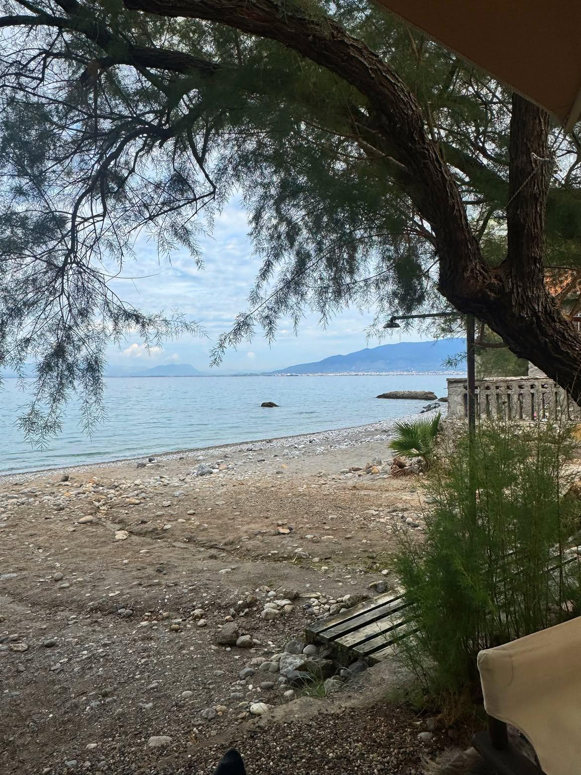 Δανάη Μπάρκα/ @danai_barka