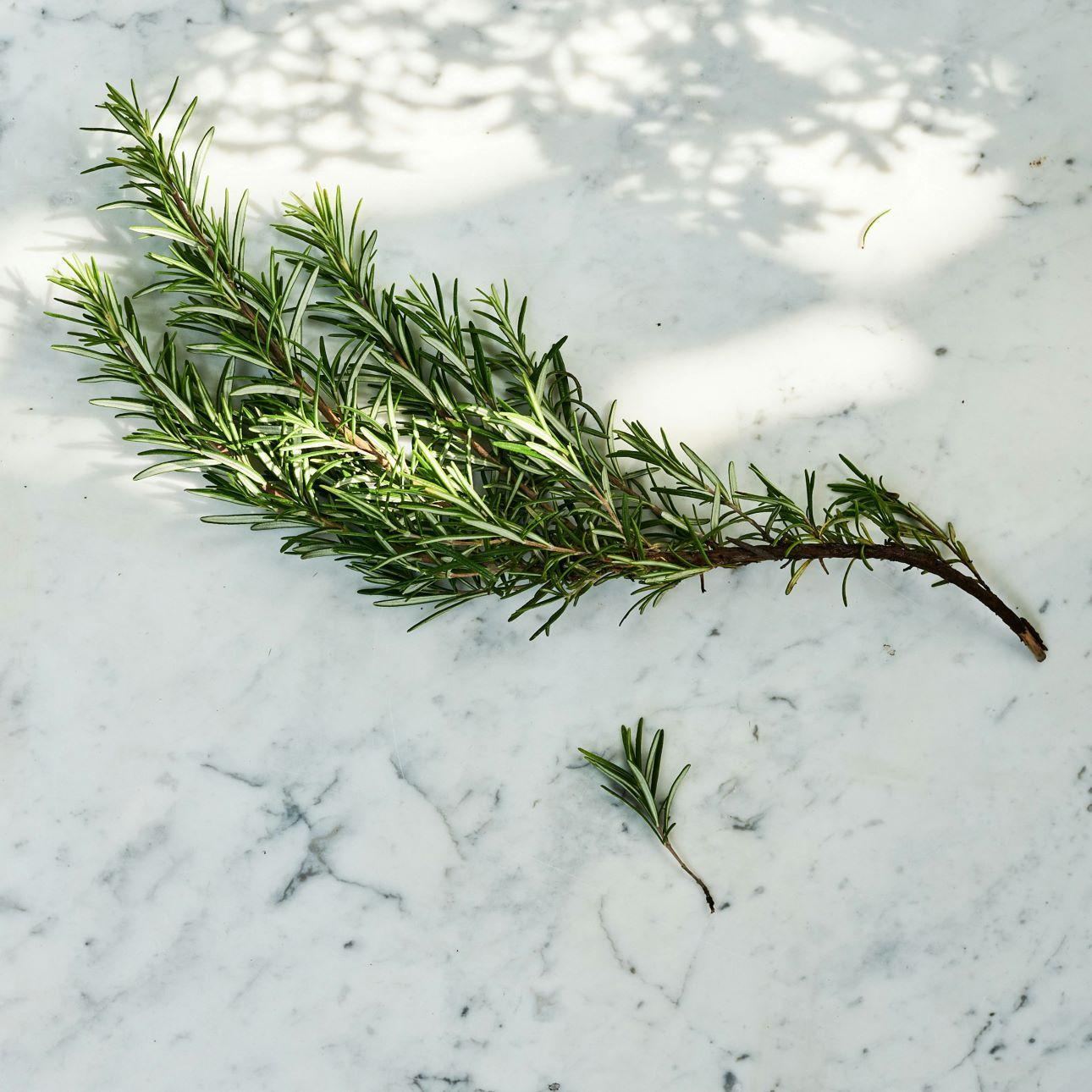 Δεντρολίβανο/ Φωτογραφία: Unsplash