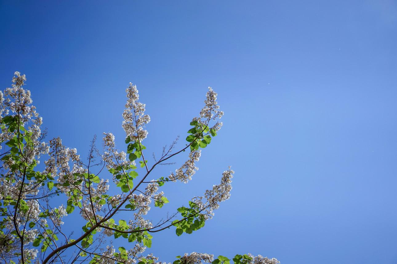 Φωτογραφία: Unsplash