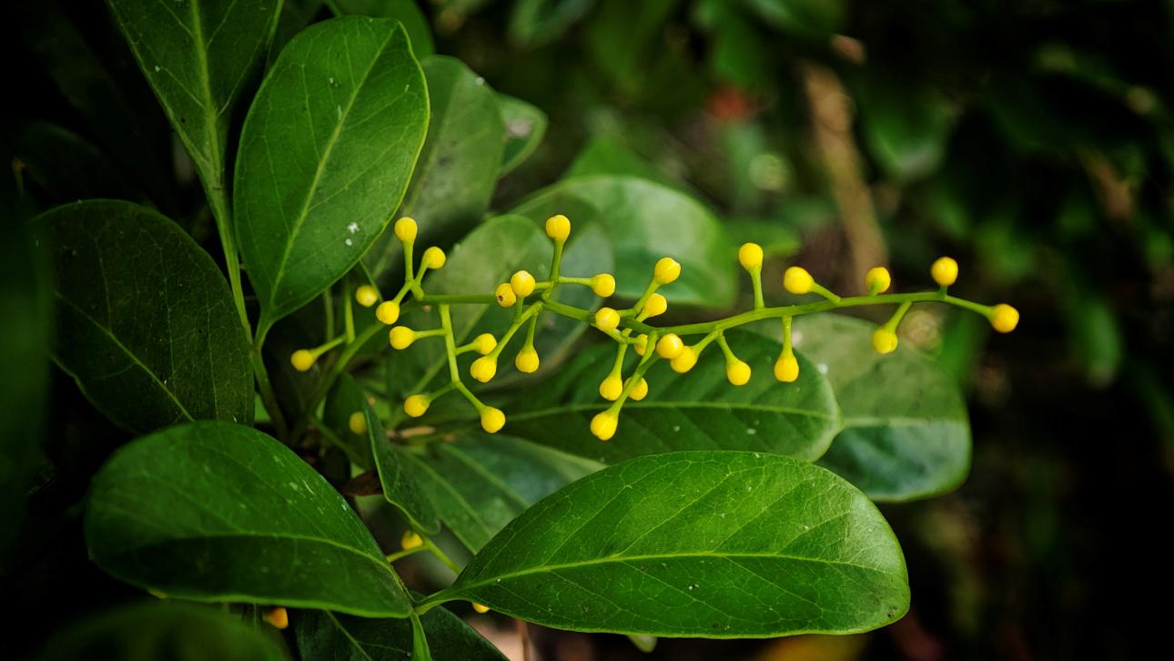 Φωτογραφία: Shutterstock