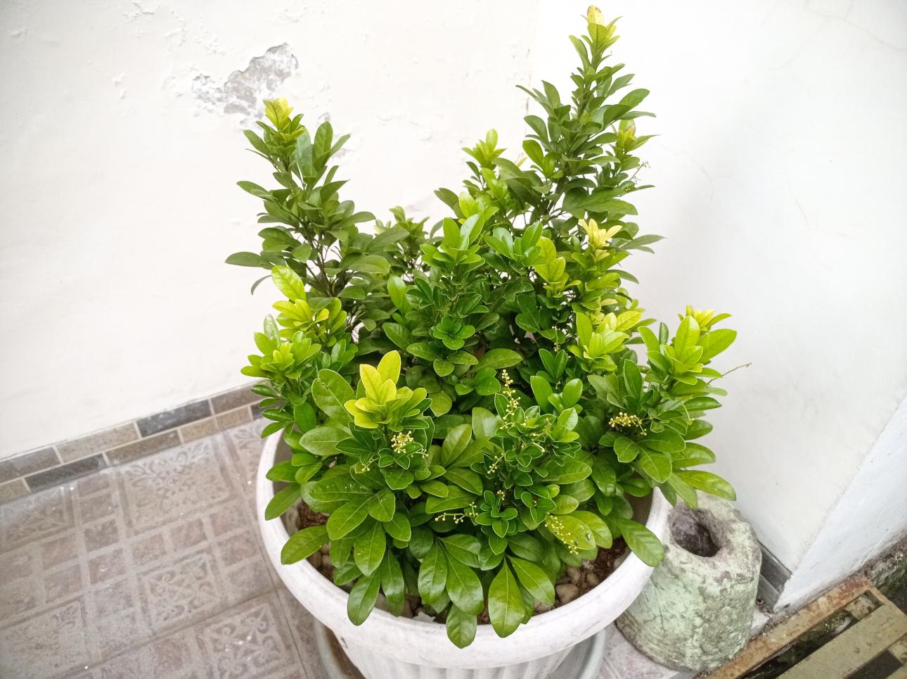 Φωτογραφία: Shutterstock