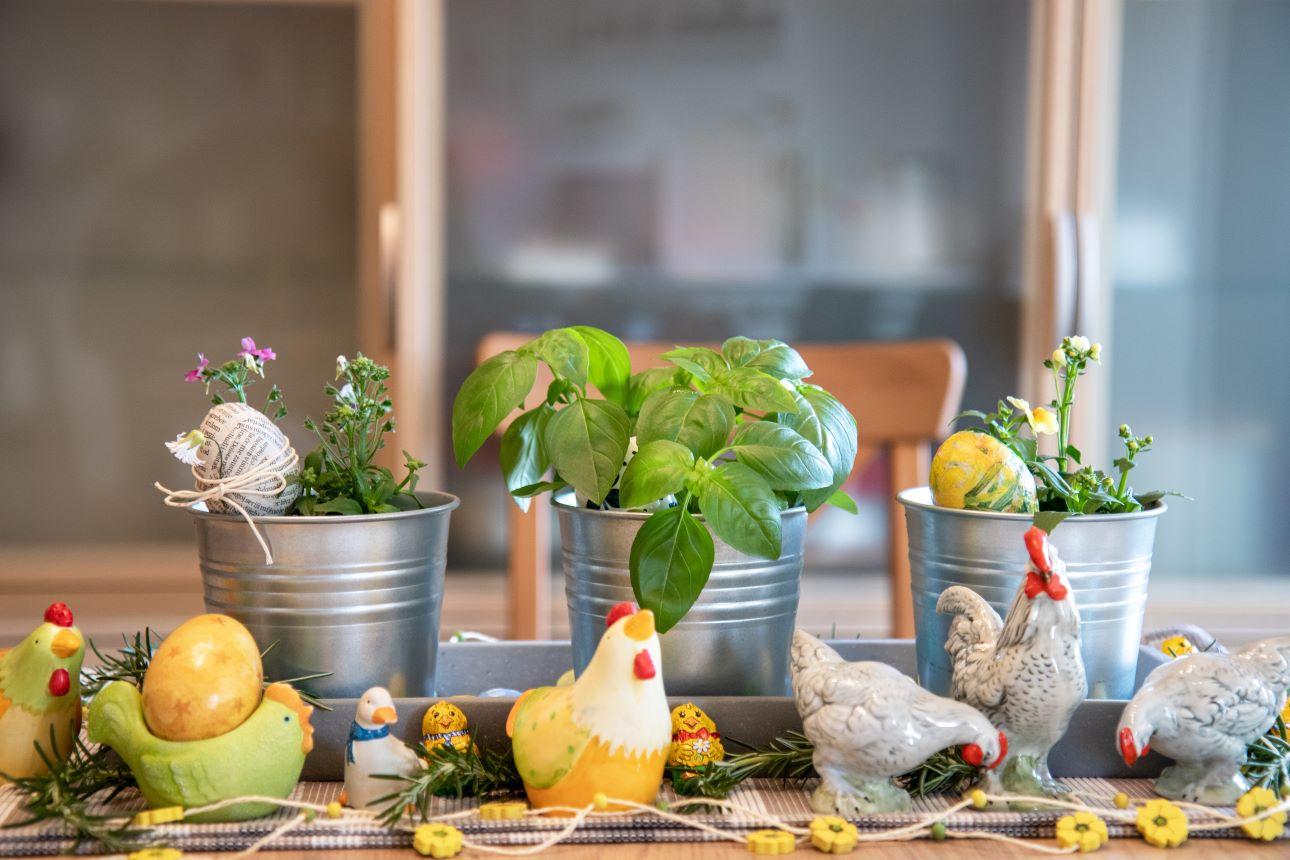 Διακόσμηση πασχαλινού τραπεζιού με γλαστράκια αρωματικών φυτών/ Φωτογραφία: Shutterstock