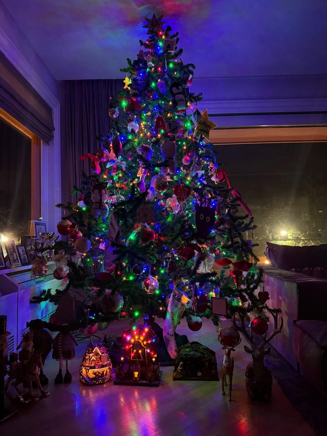 Το χριστουγεννιάτικο δέντρο της Δούκισσας Νομικού/ @dutchesss_