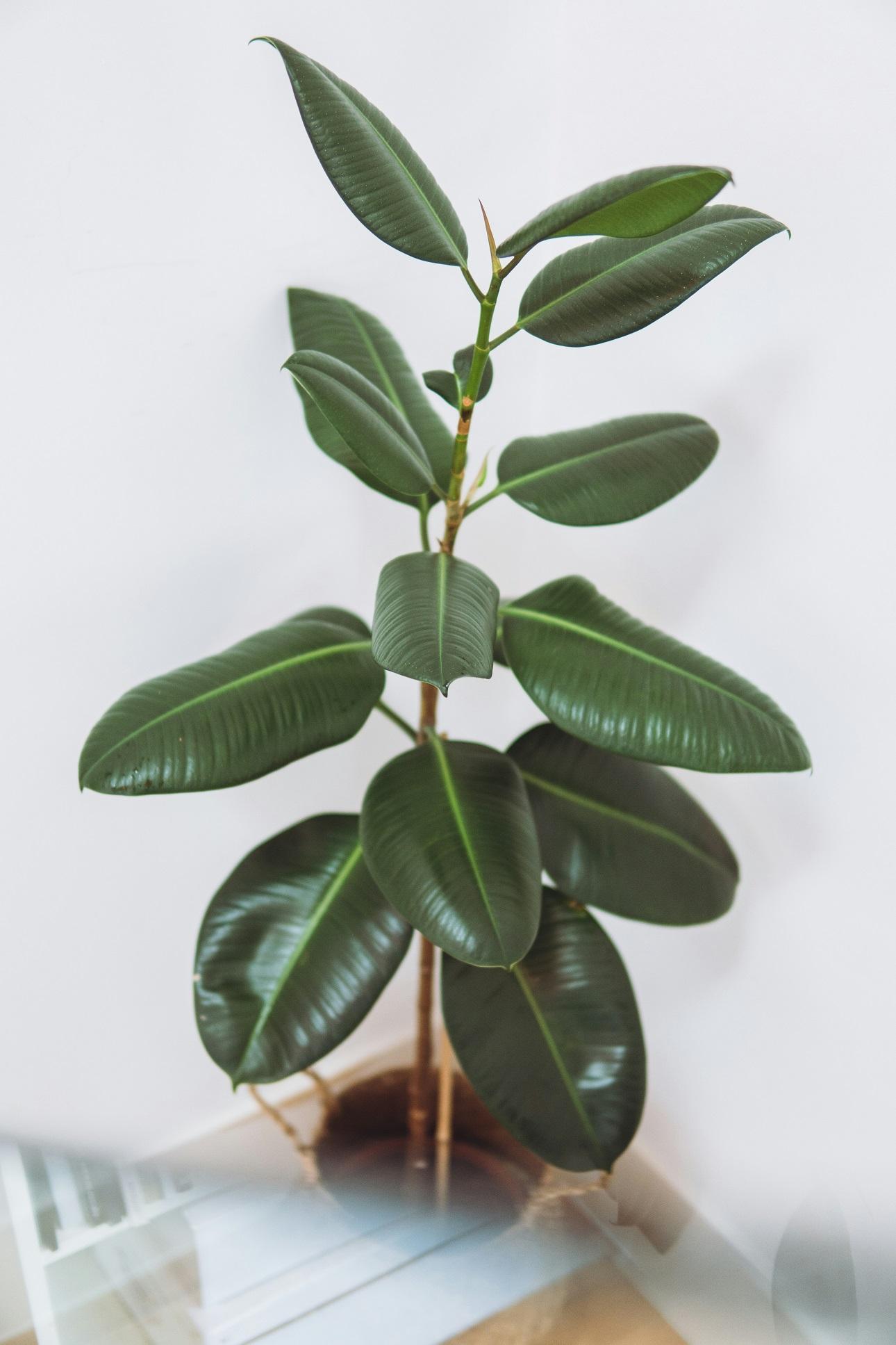 Φωτογραφία:unsplash