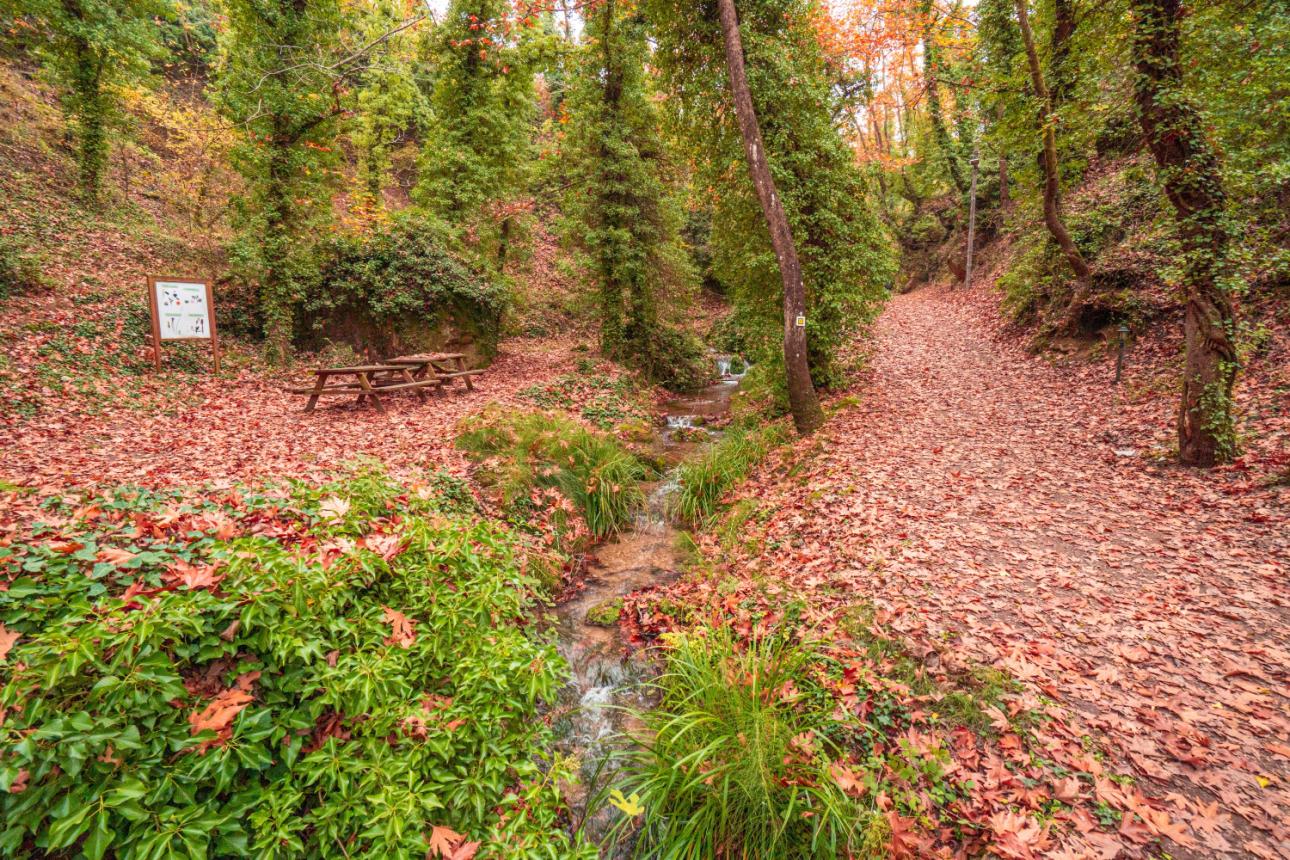 Φωτογραφία: Shutterstock