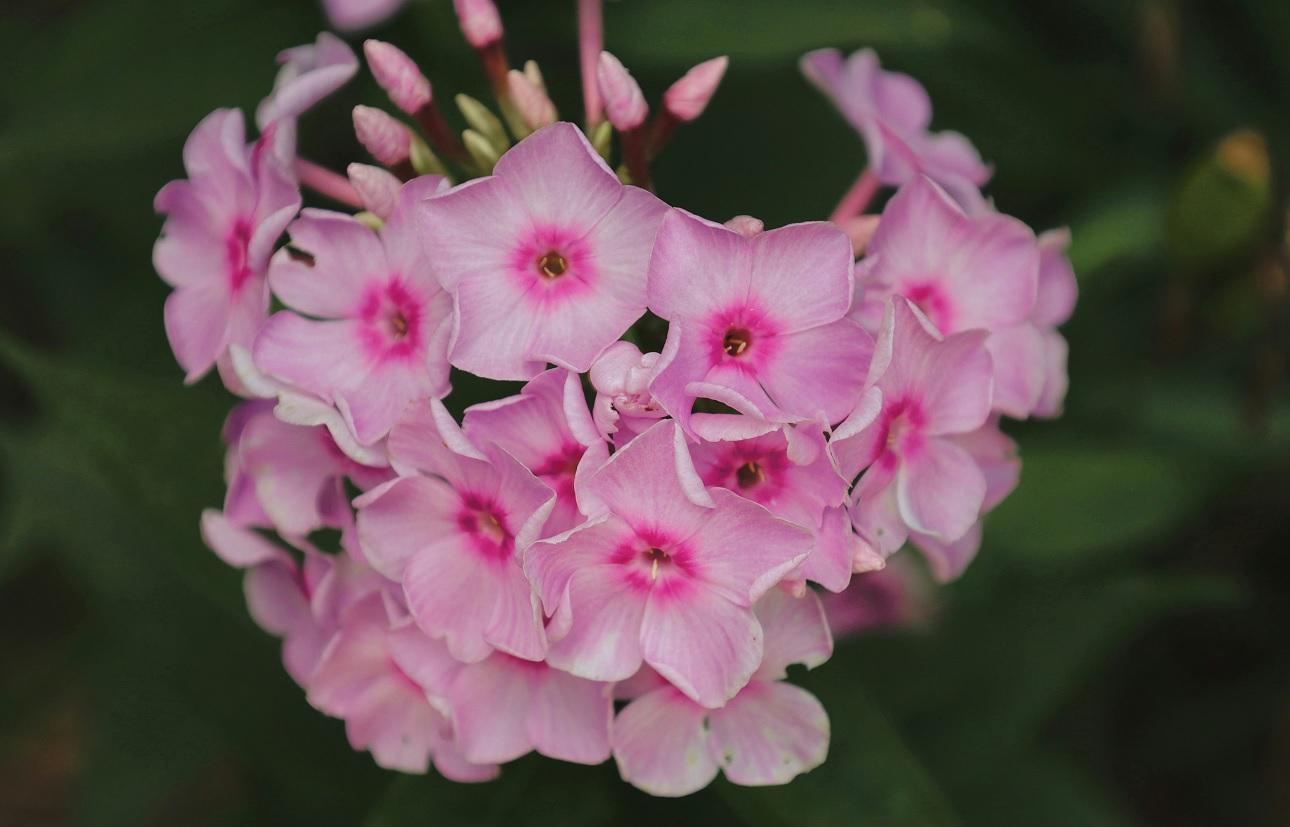 Φωτογραφία Unsplash 