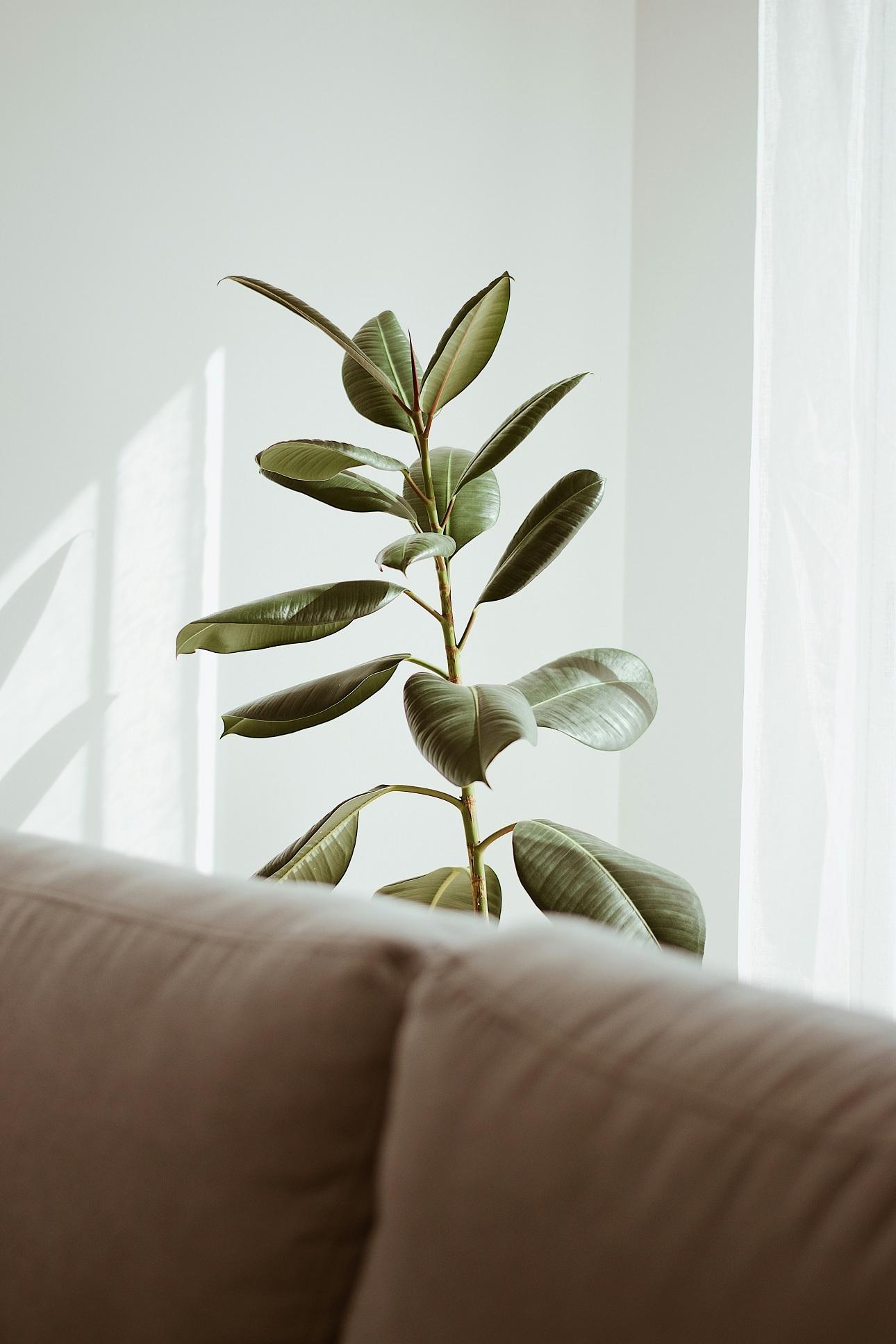 Φωτογραφία Unsplash