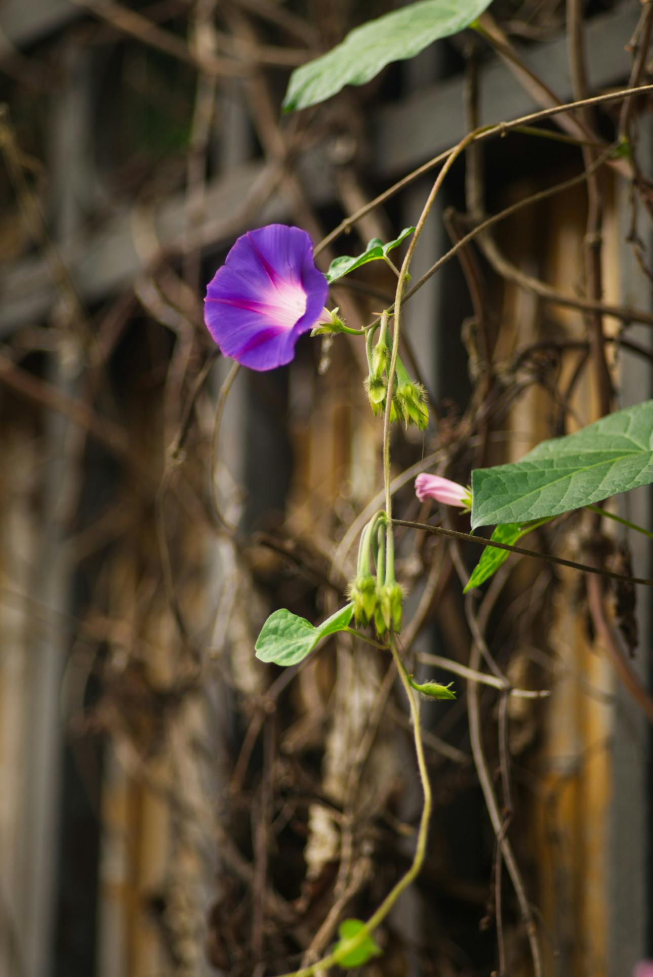 Φωτογραφία: Unsplash 