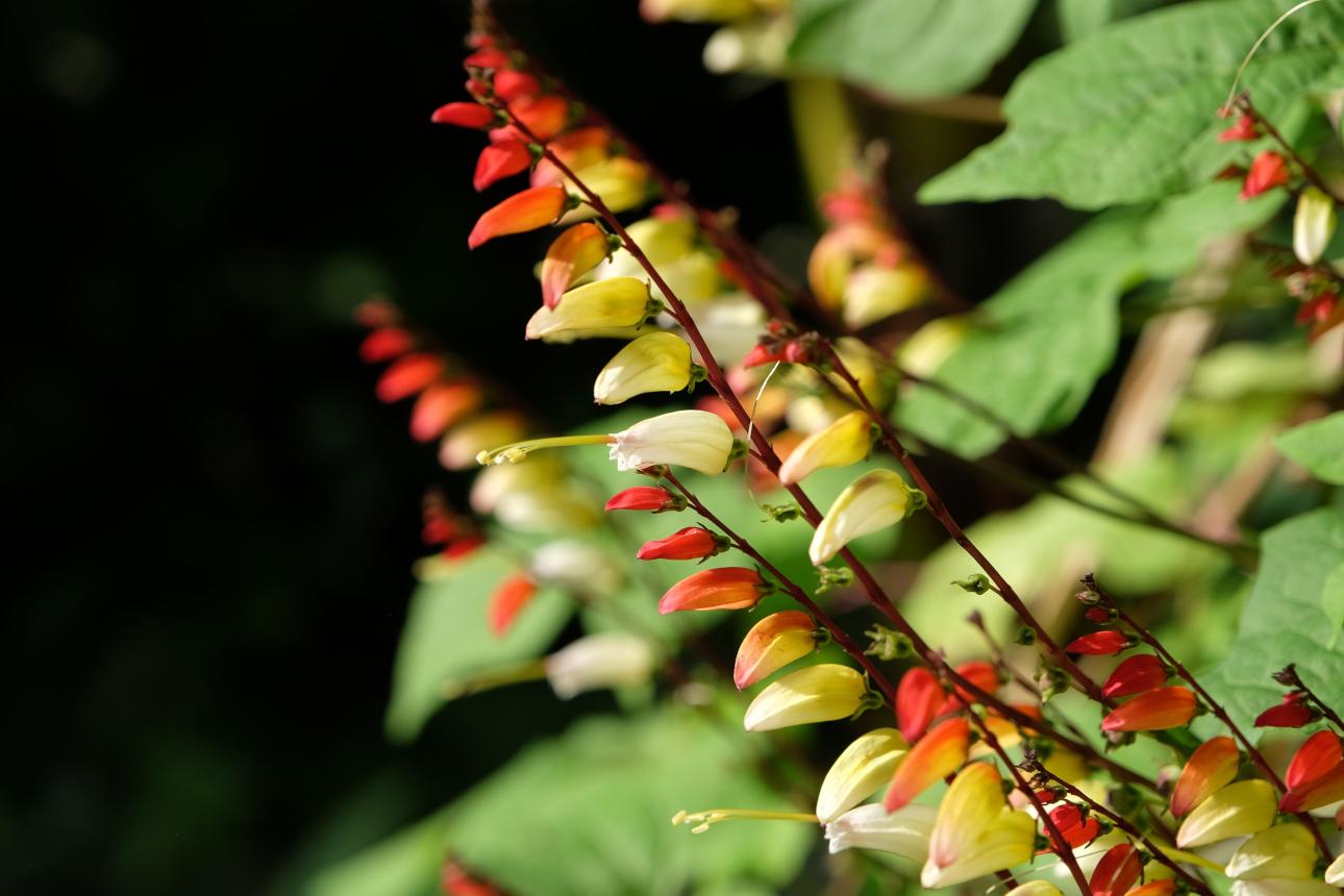 Φωτογραφία: Shutterstock 