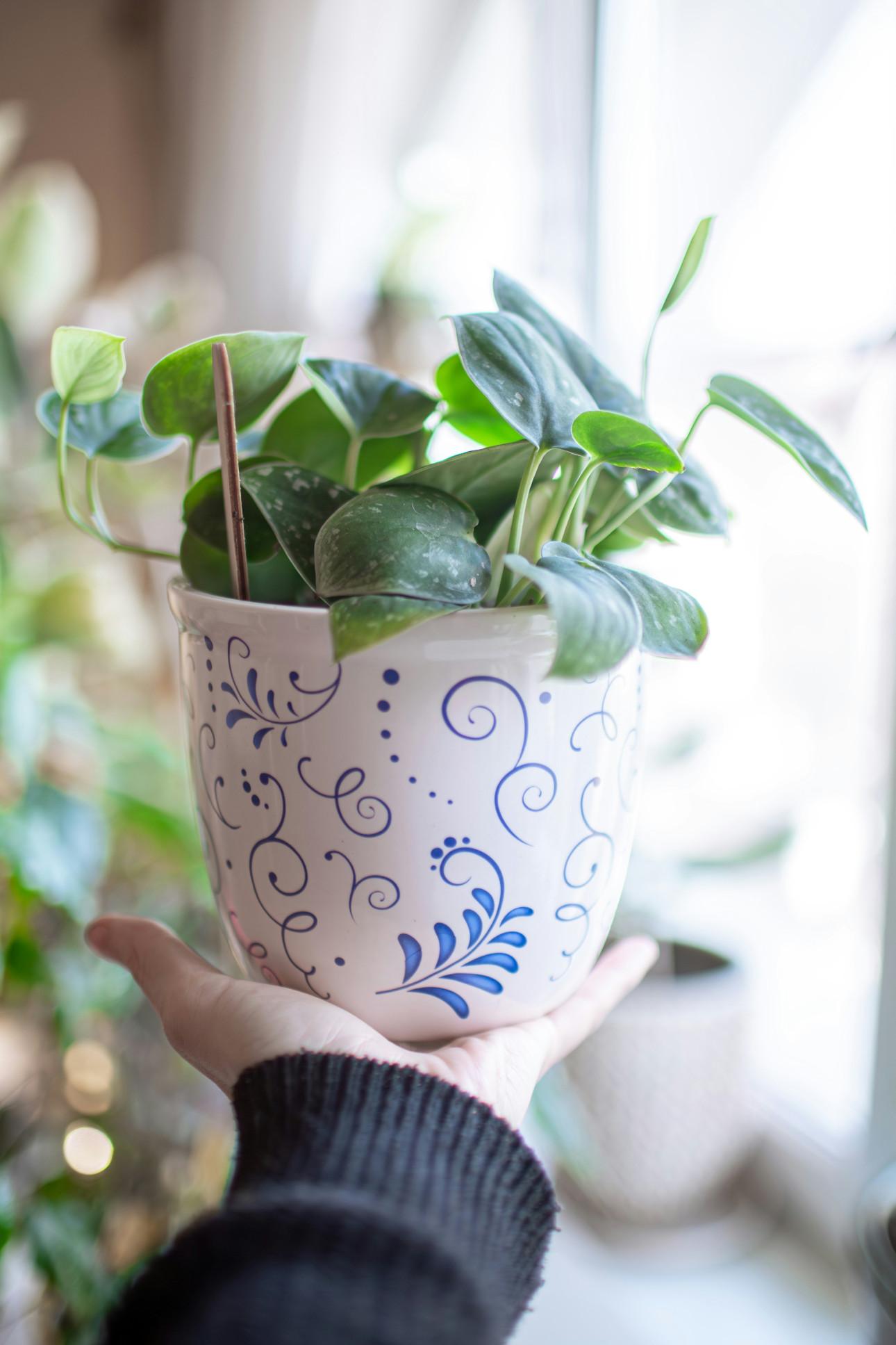 Φωτογραφία: Unsplash