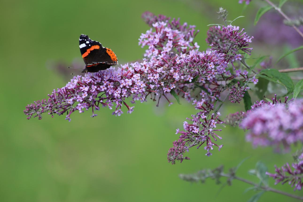 Φωτογραφία: Shutterstock