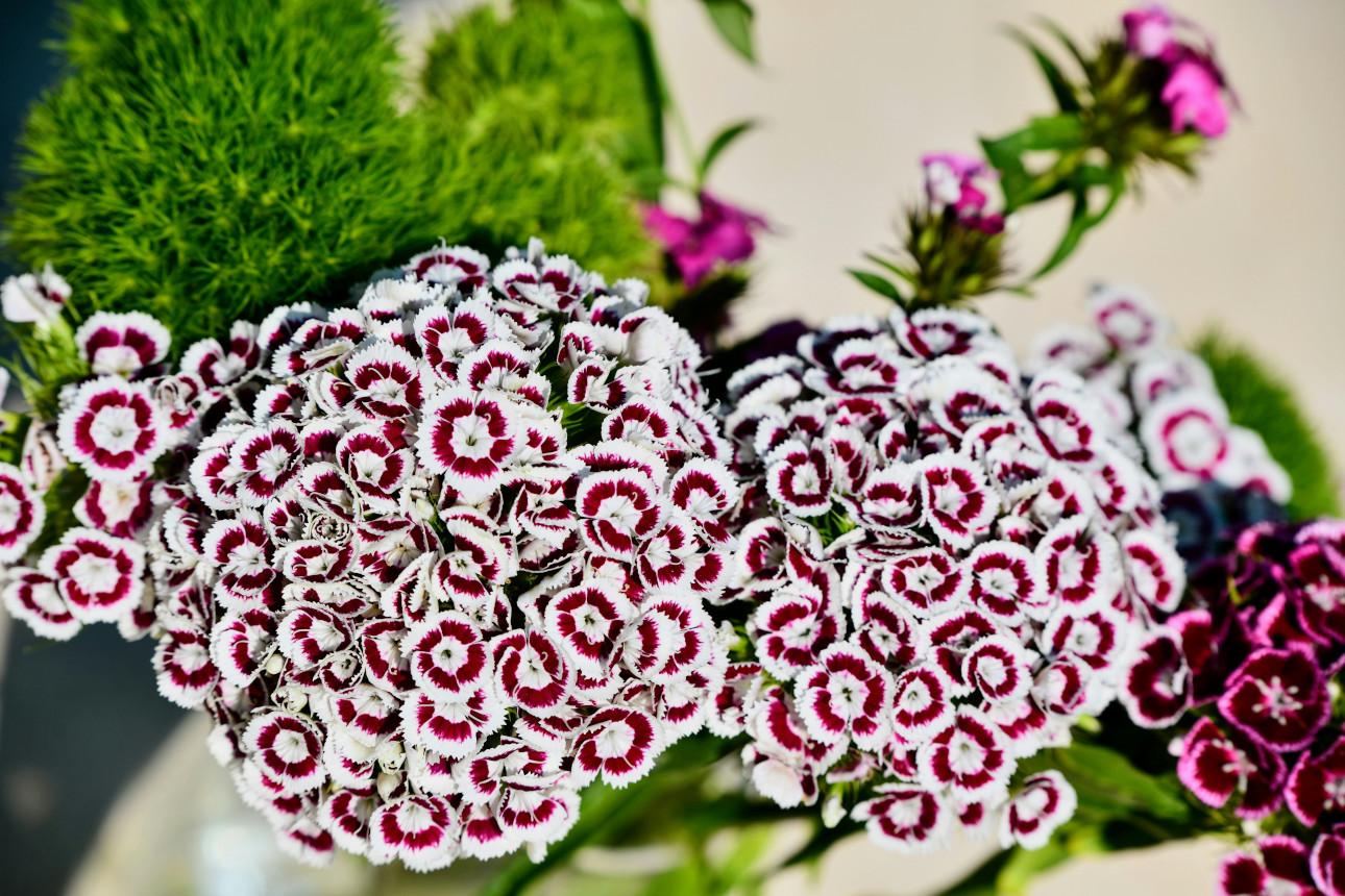 Φωτογραφία: Shutterstock