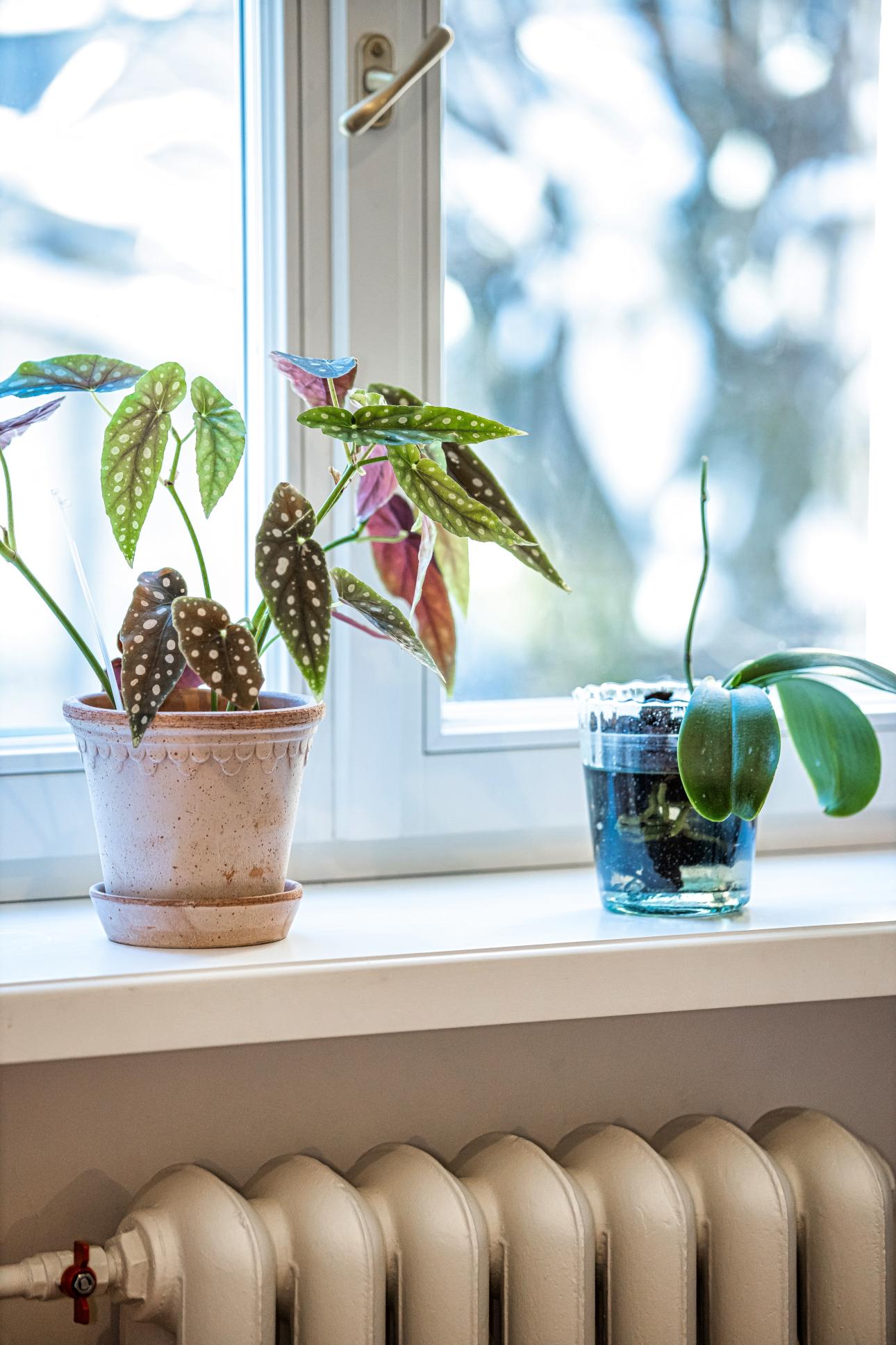 Φωτογραφία: Shutterstock