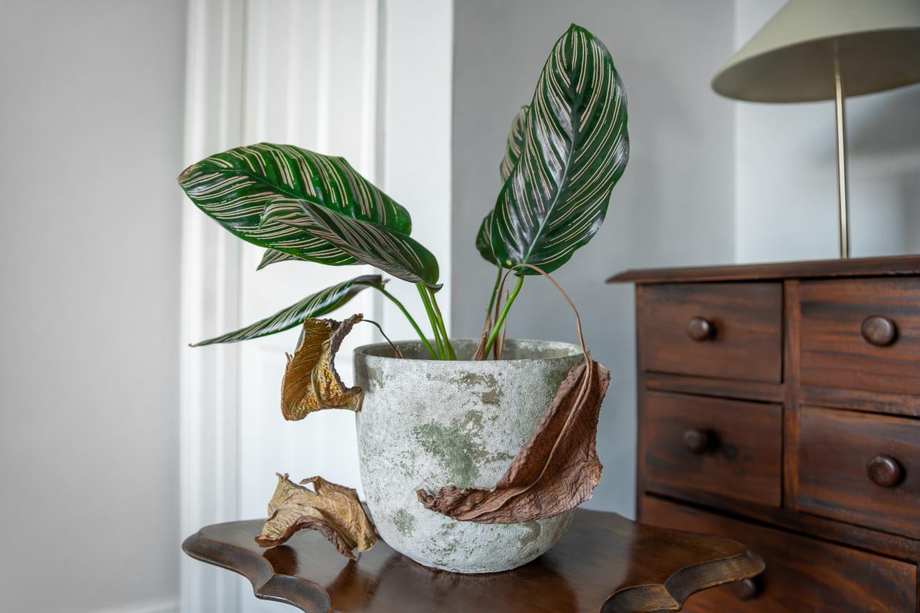 Φωτογραφία: Shutterstock