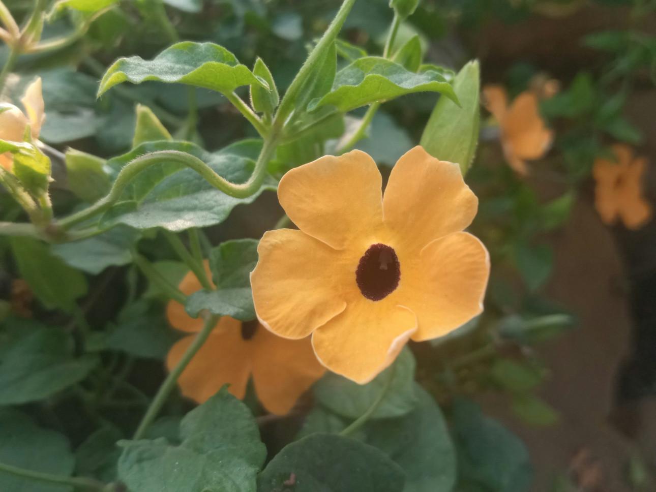 Φωτογραφία: Unsplash