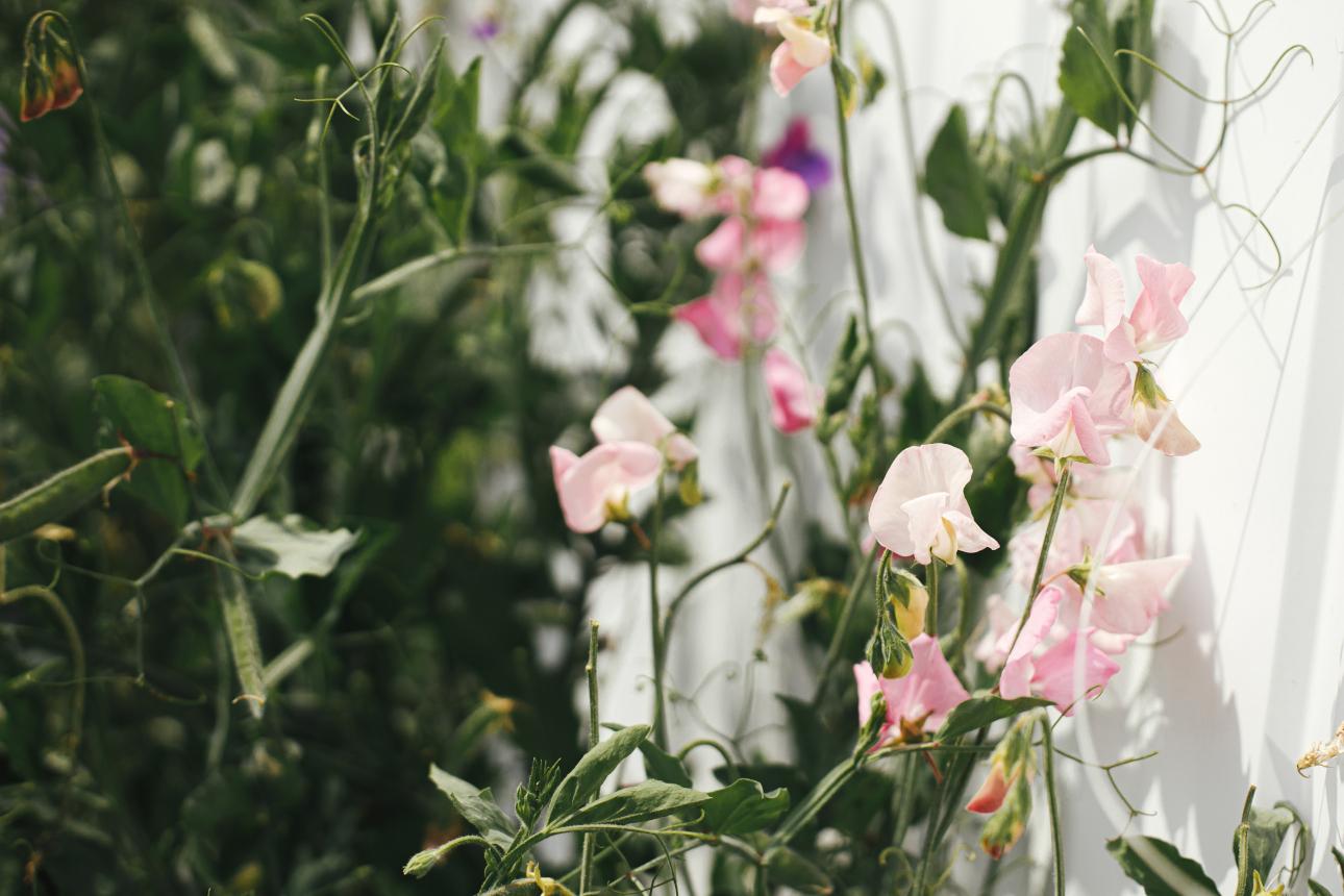 Φωτογραφία: Shutterstock