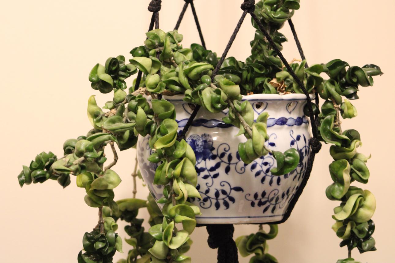 Φωτογραφία: Shutterstock 