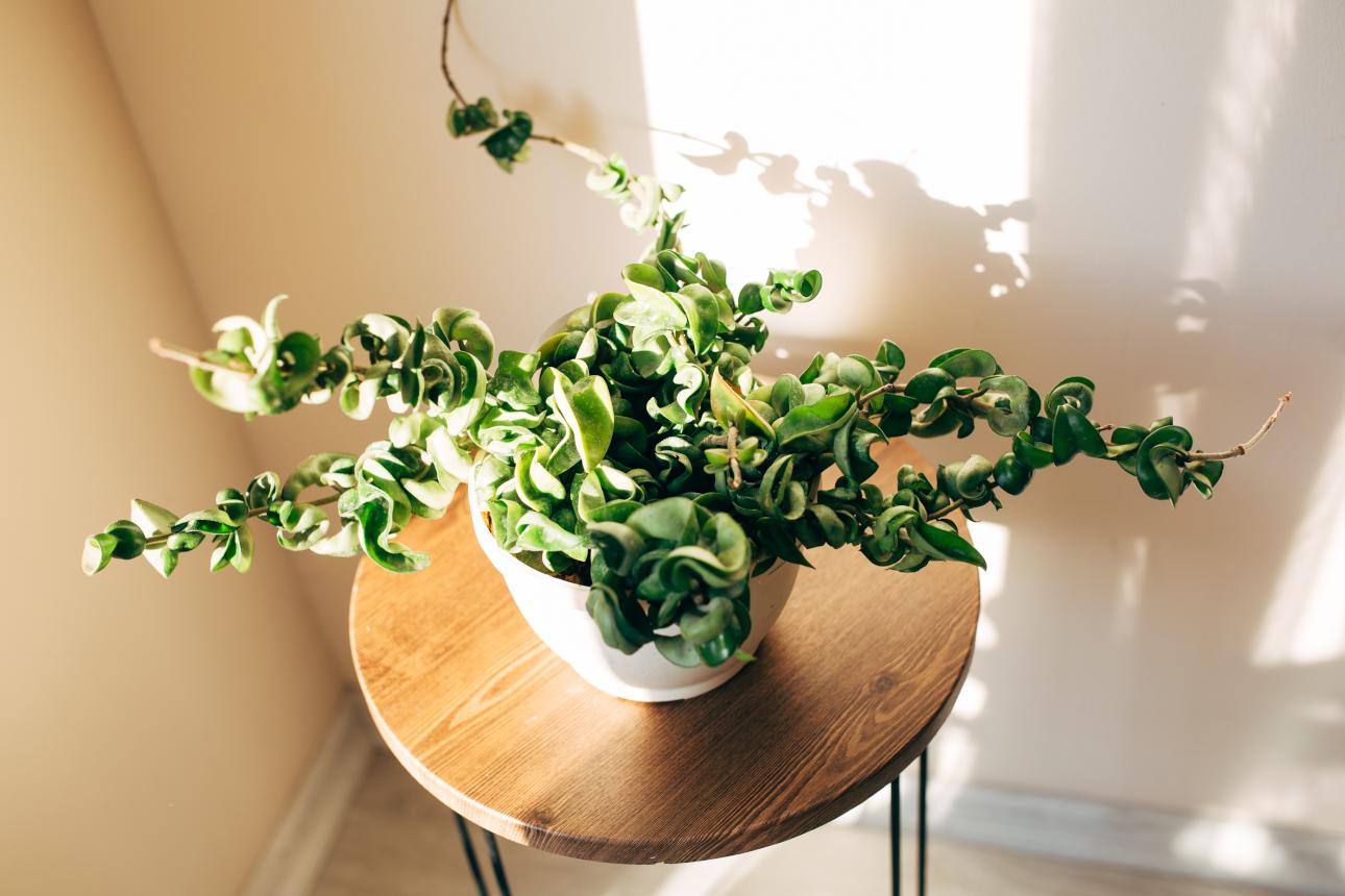 Φωτογραφία: Shutterstock