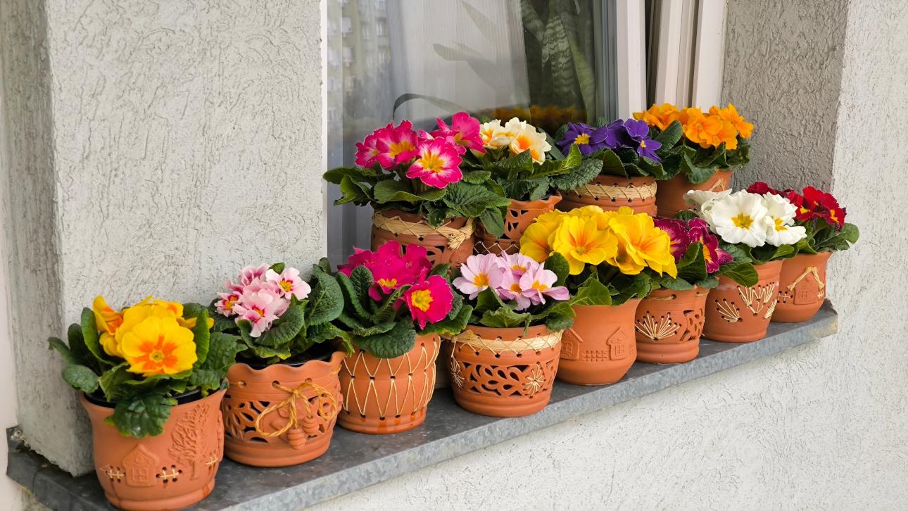 Φωτογραφία: Shutterstock