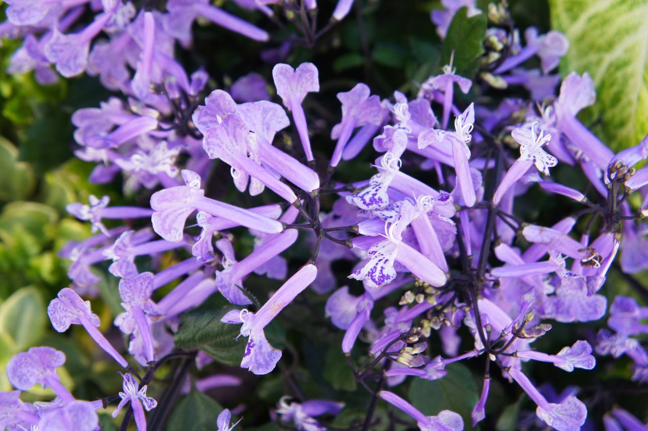 Φωτογραφία: Shutterstock