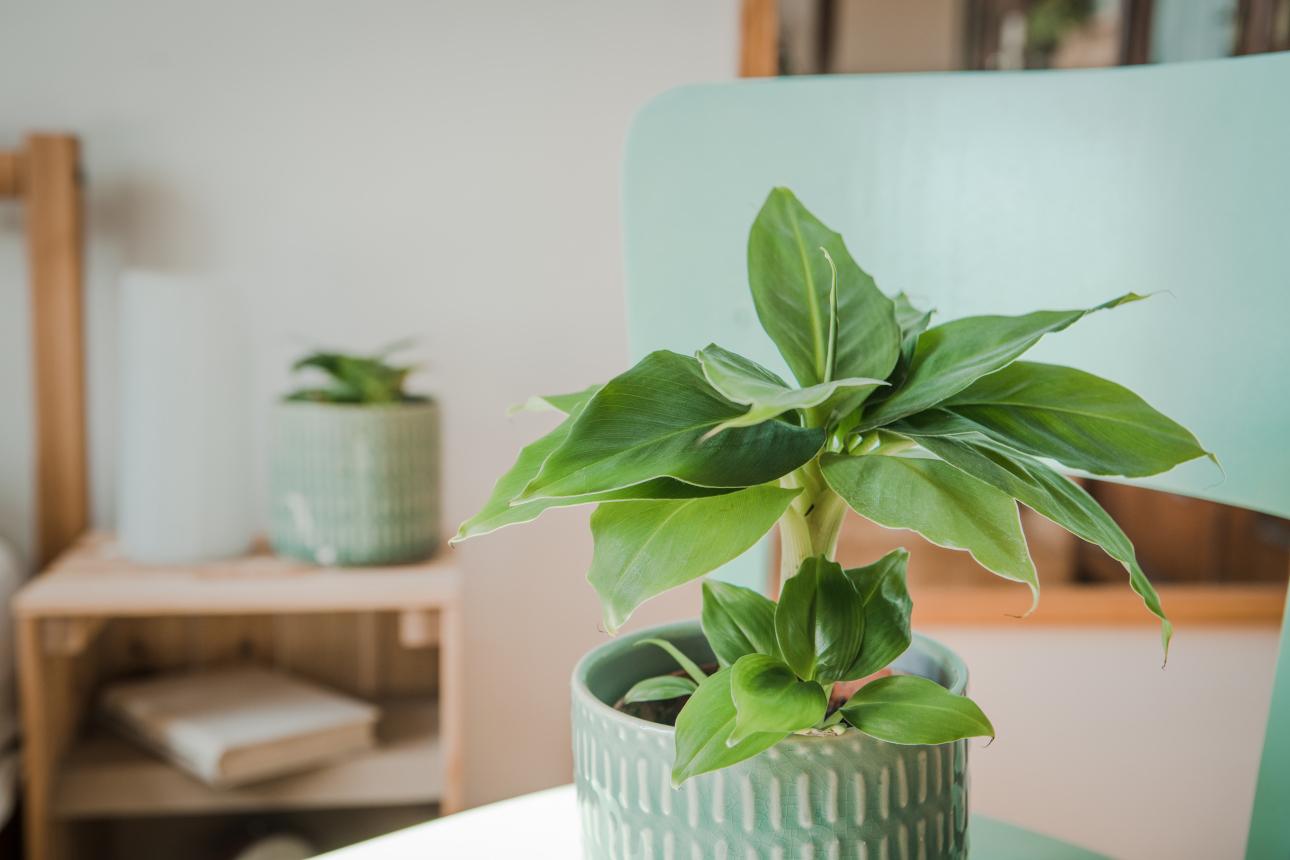 Φωτογραφία: Shutterstock